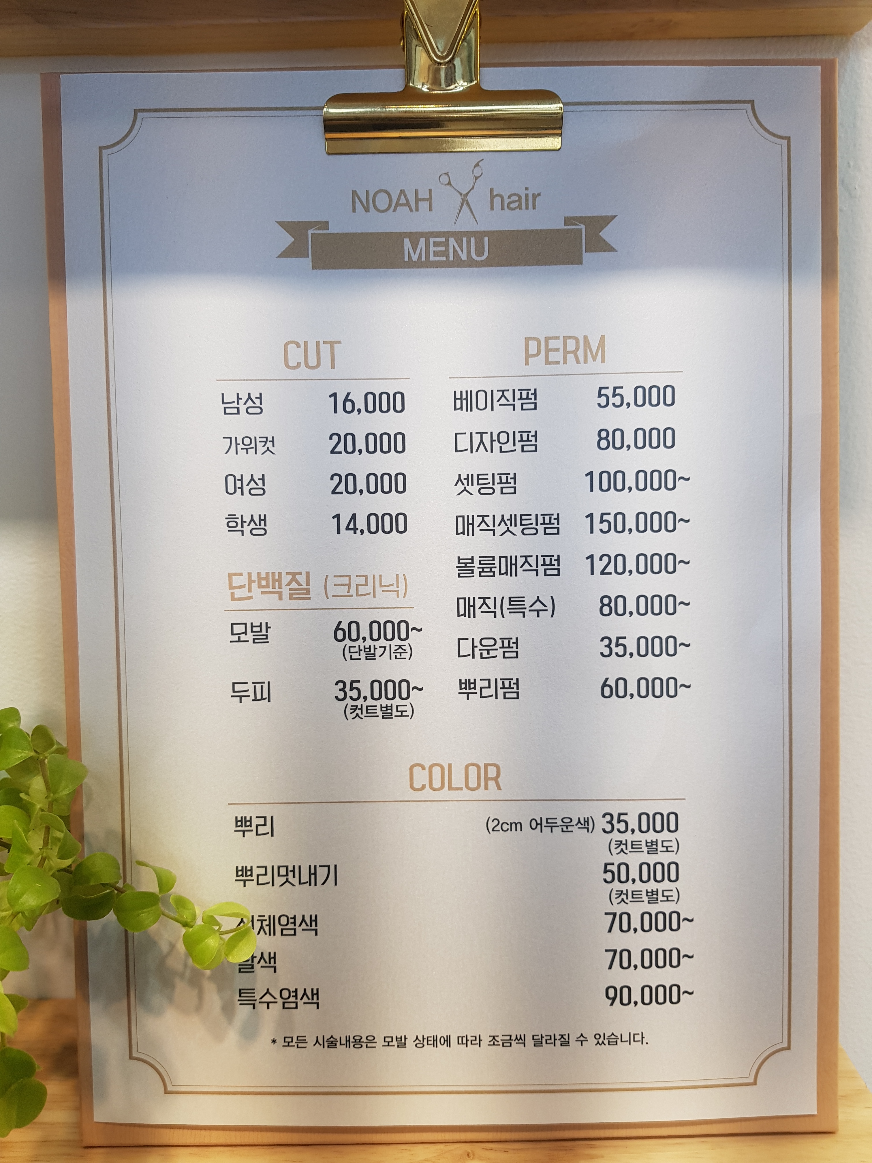 노아헤어