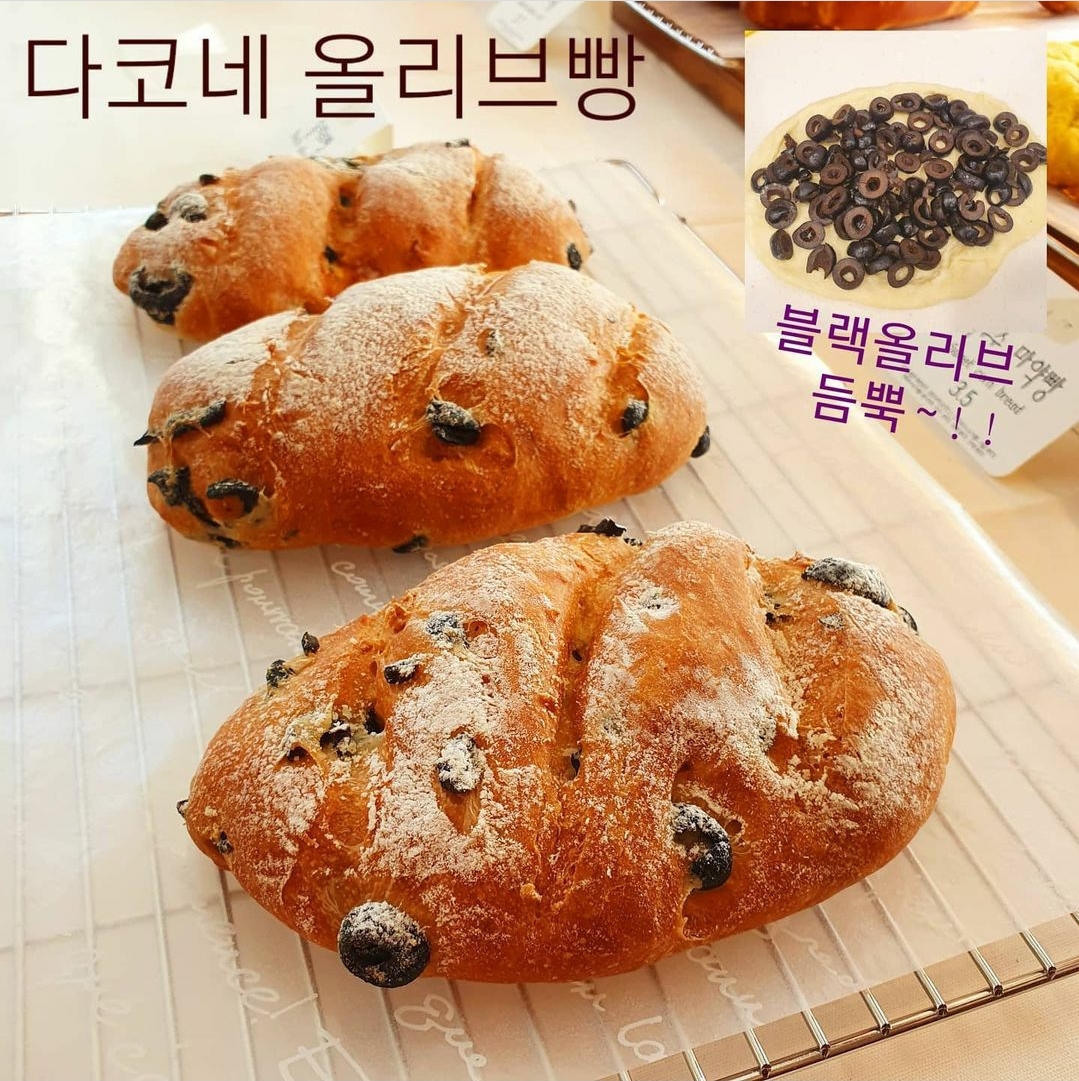 다코네 구좌 평대리 세화 카페
