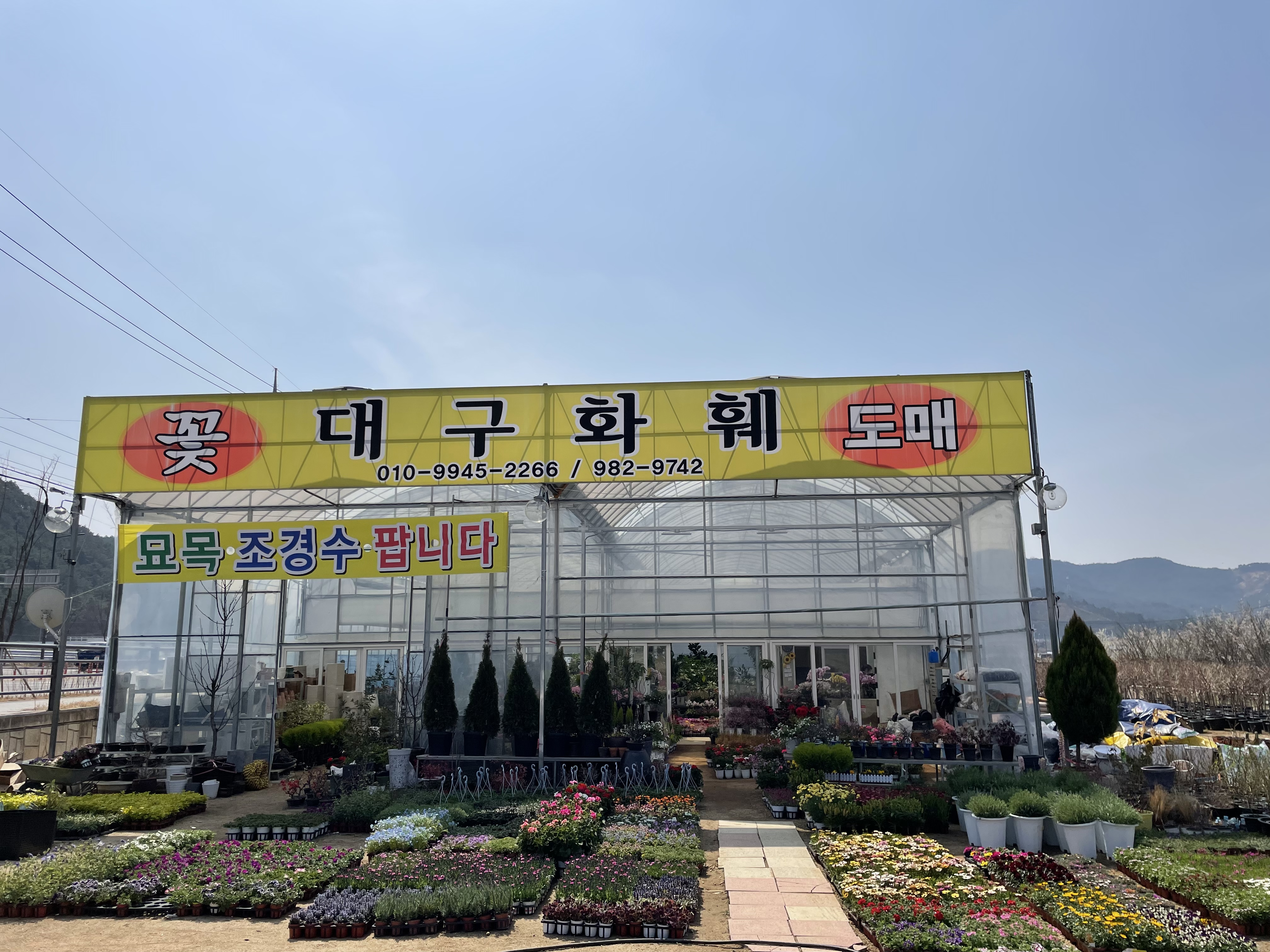 대구꽃직매장