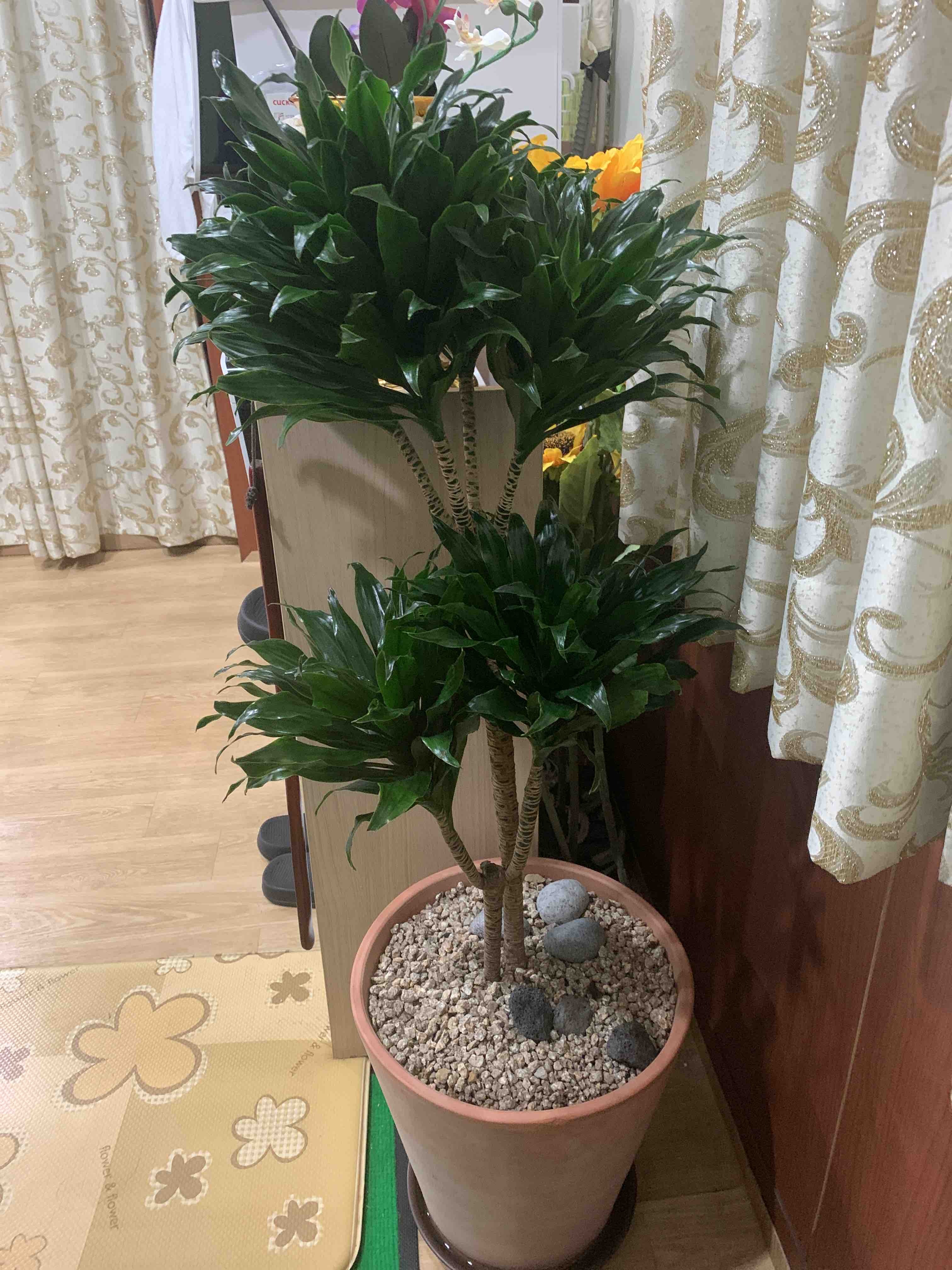 힐링피부마사지 신림점 photo 6