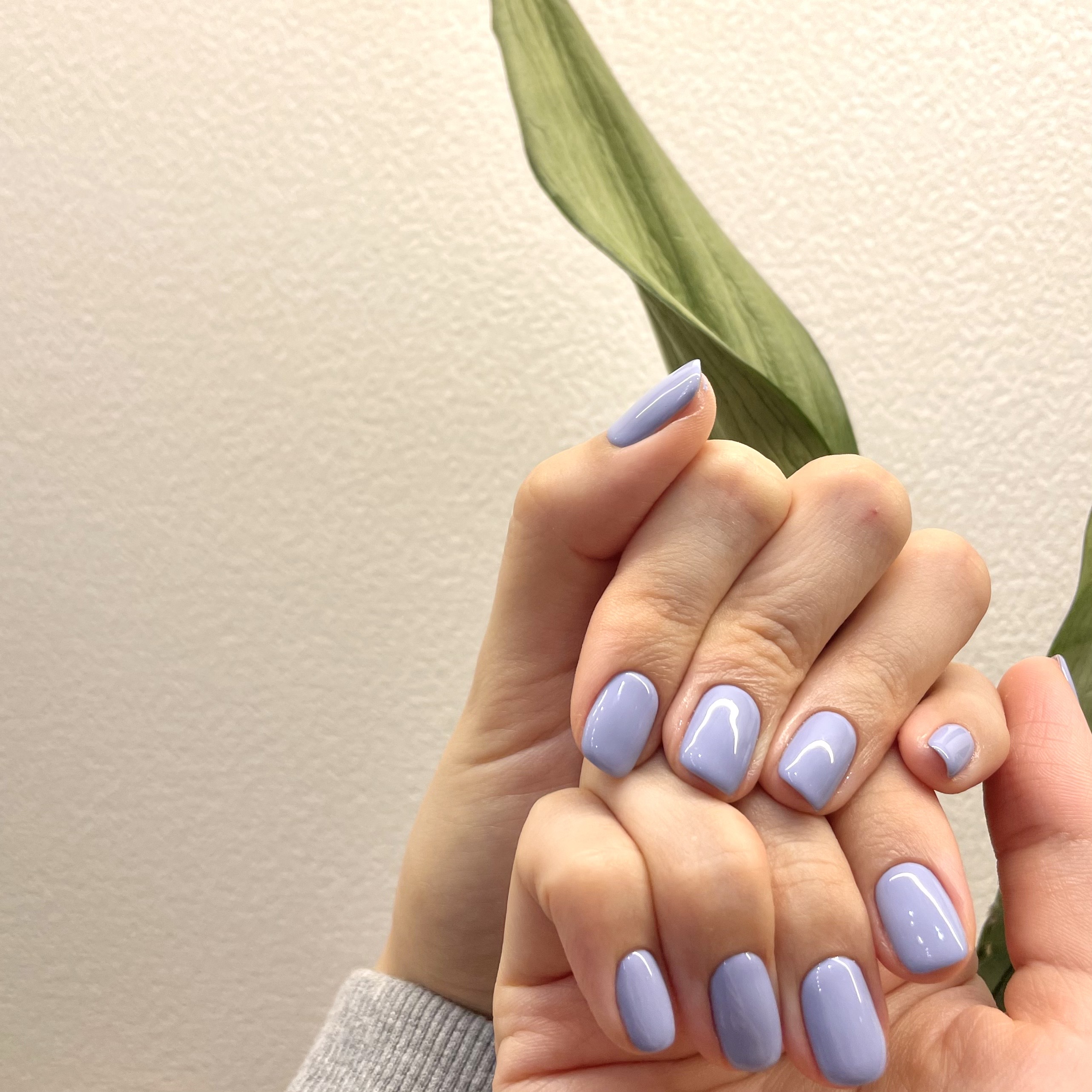 네일의오늘