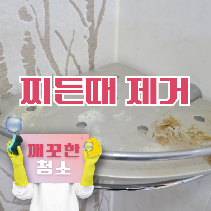 깨끗한청소