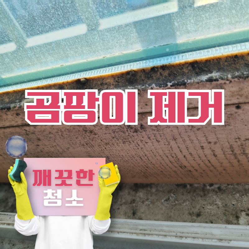 깨끗한청소
