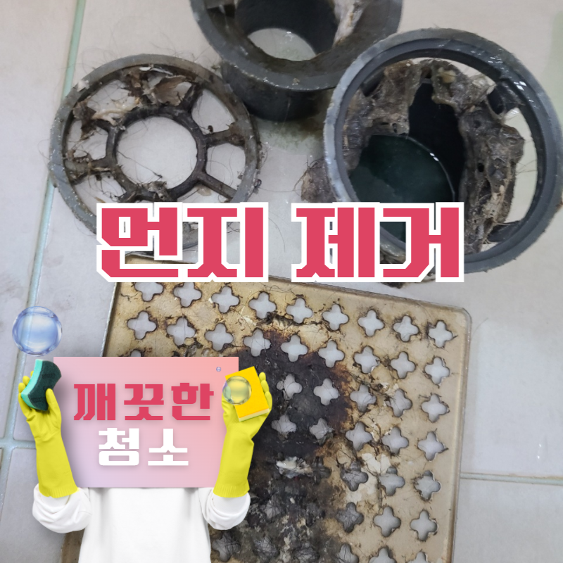 깨끗한청소