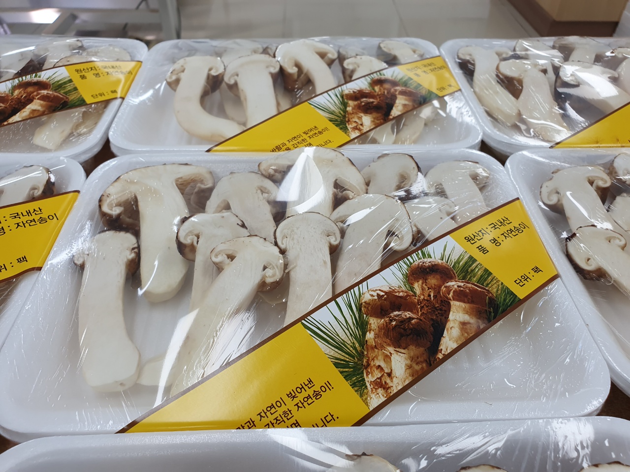 참자연영농조합법인