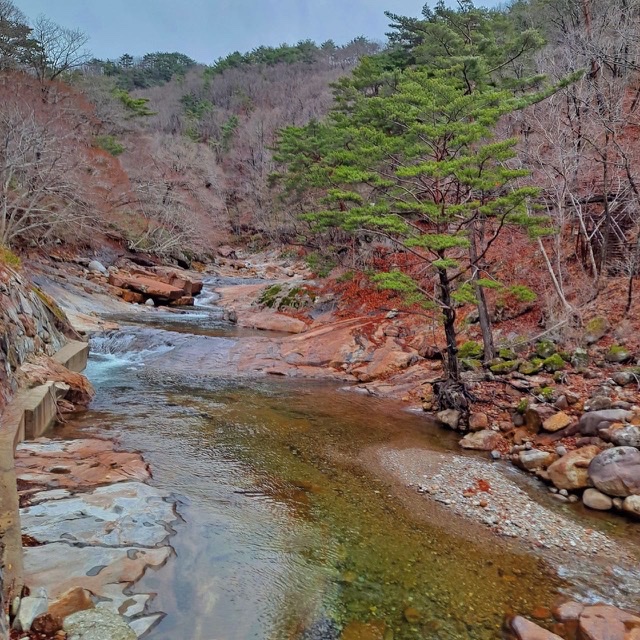 지리산스테이숲