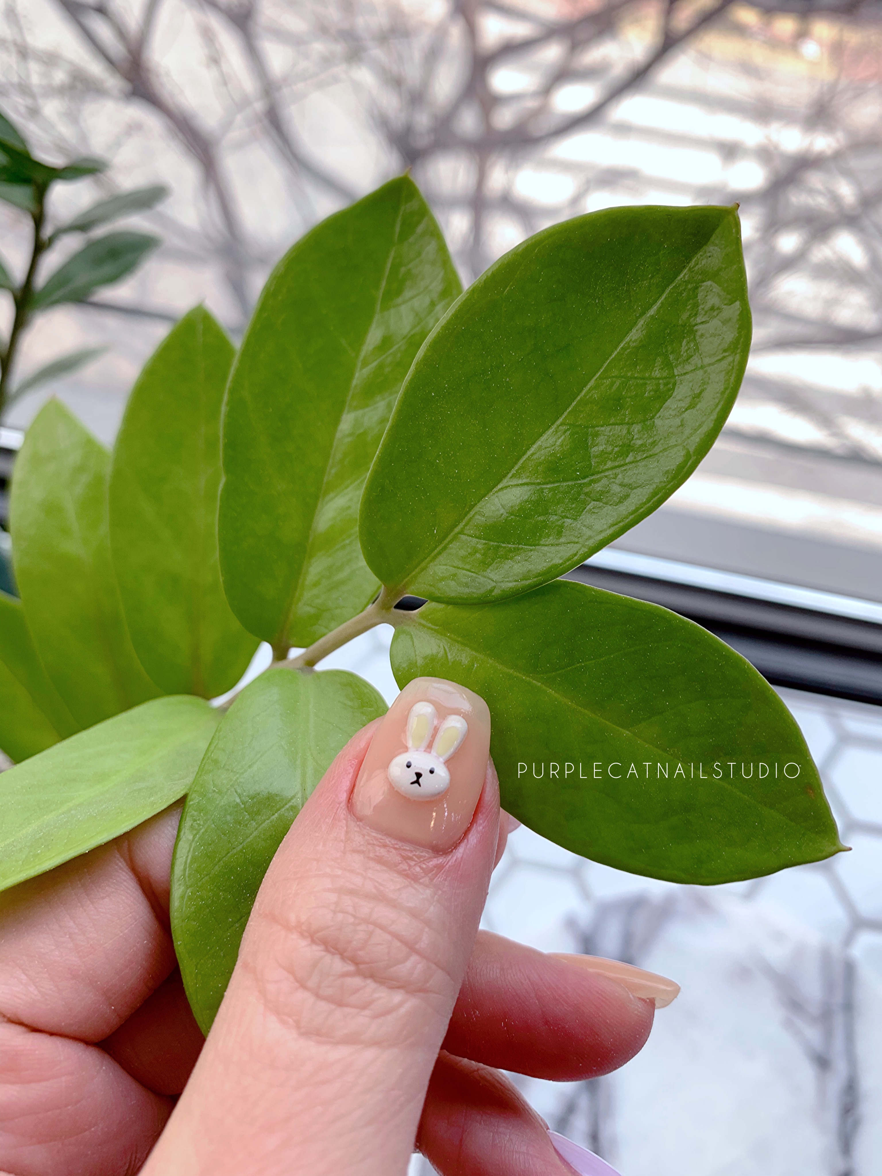 퍼플캣네일스튜디오 대표 이미지