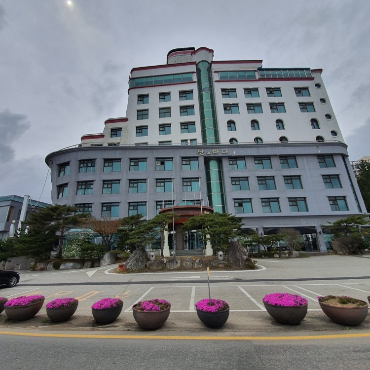 베니키아호텔 산과바다 속초