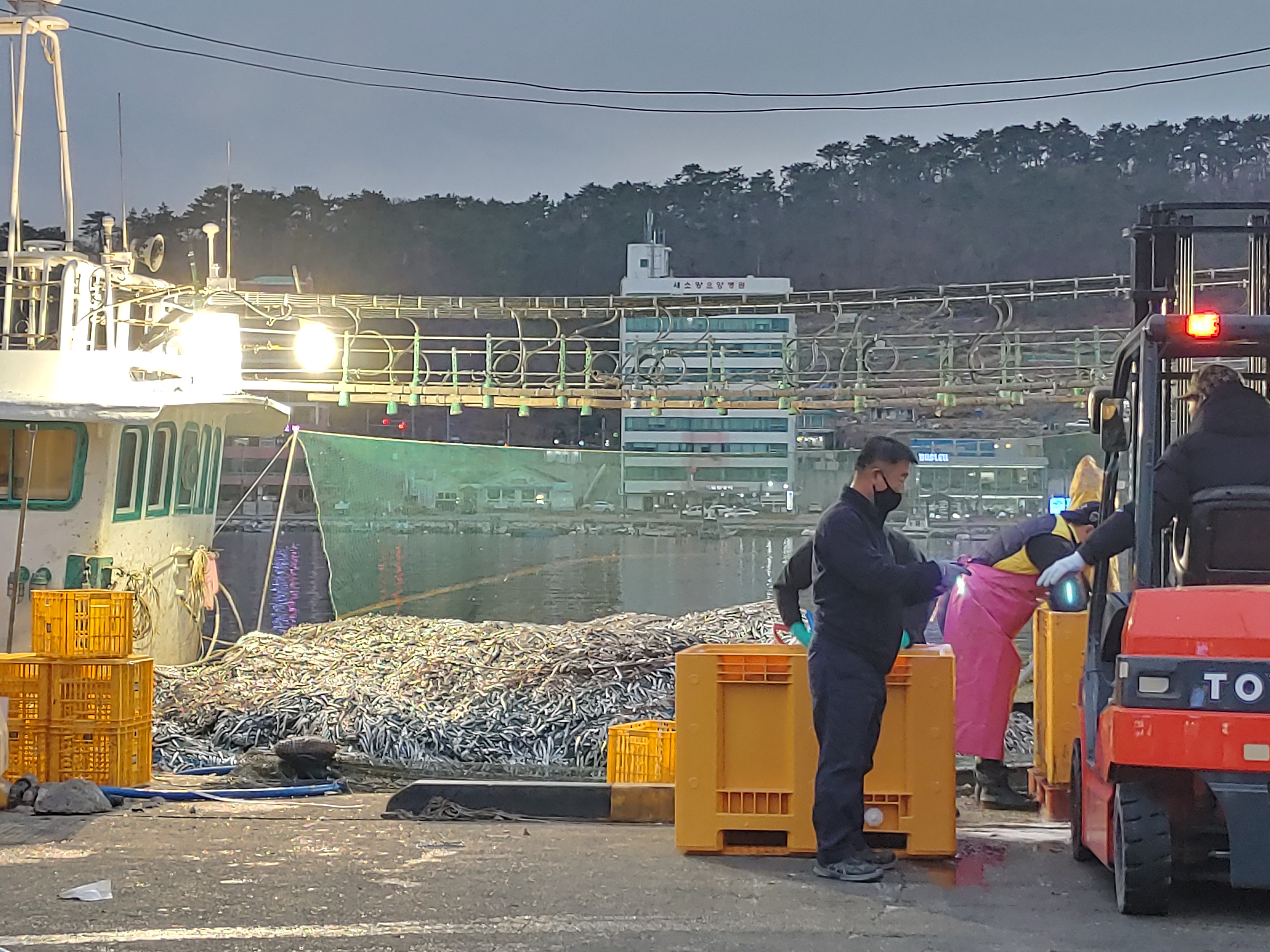 기장식품