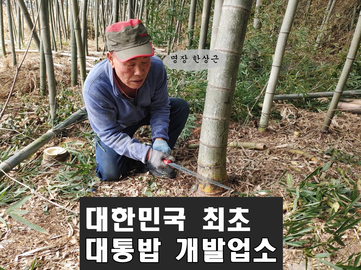 한상근대통밥집 담양본점 내부 또는 관련 모습