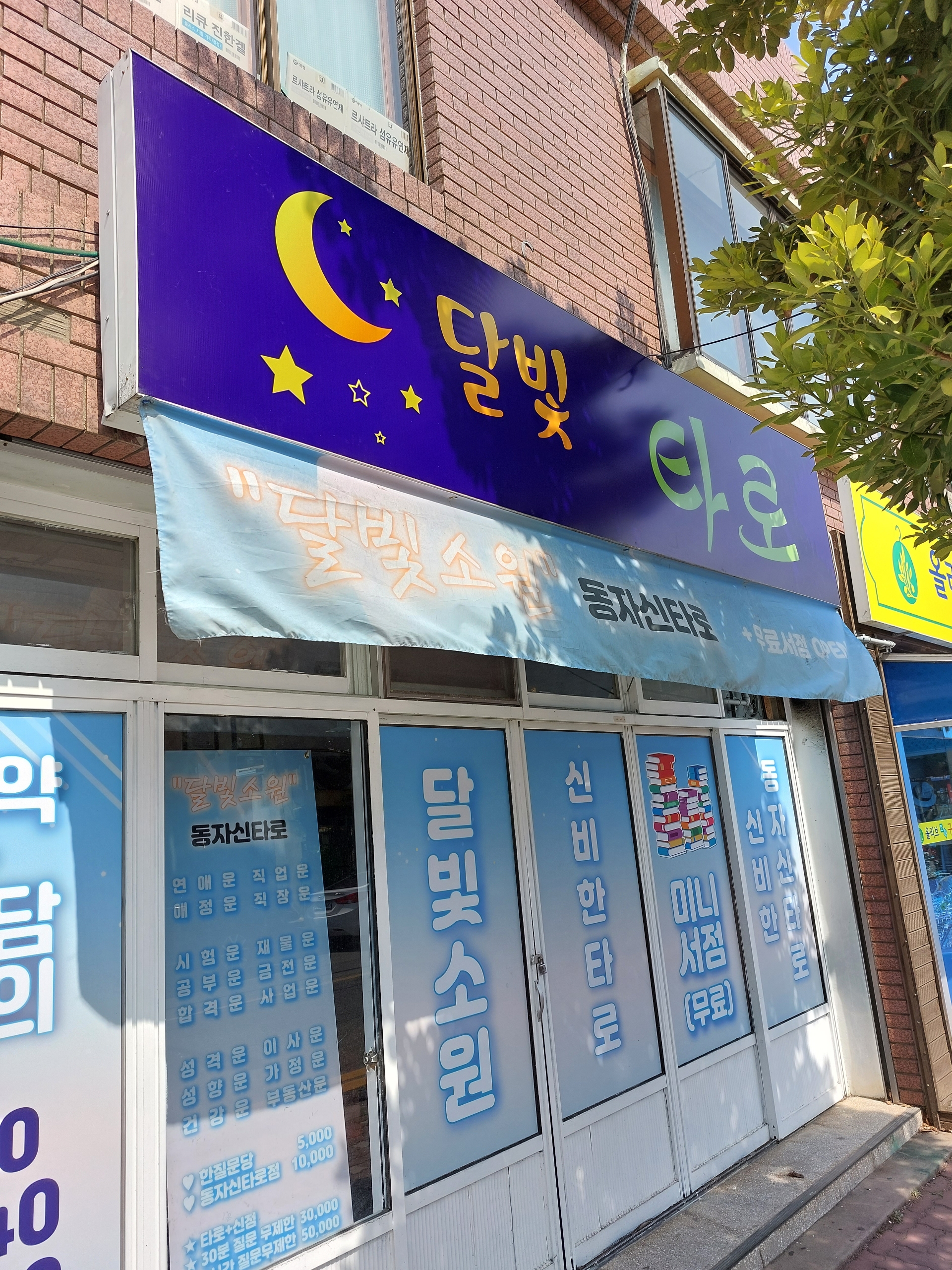 달빛타로