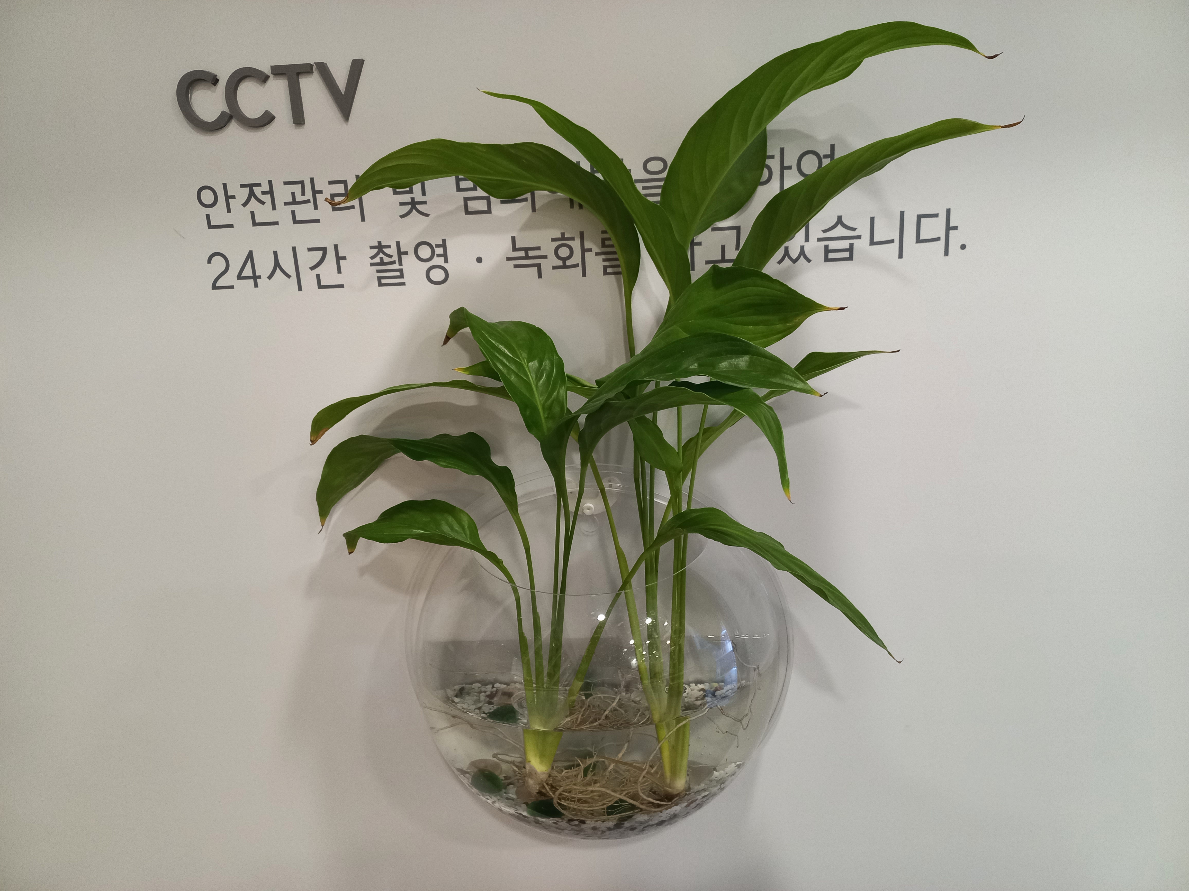 화이트펜슬 스터디카페 서동점