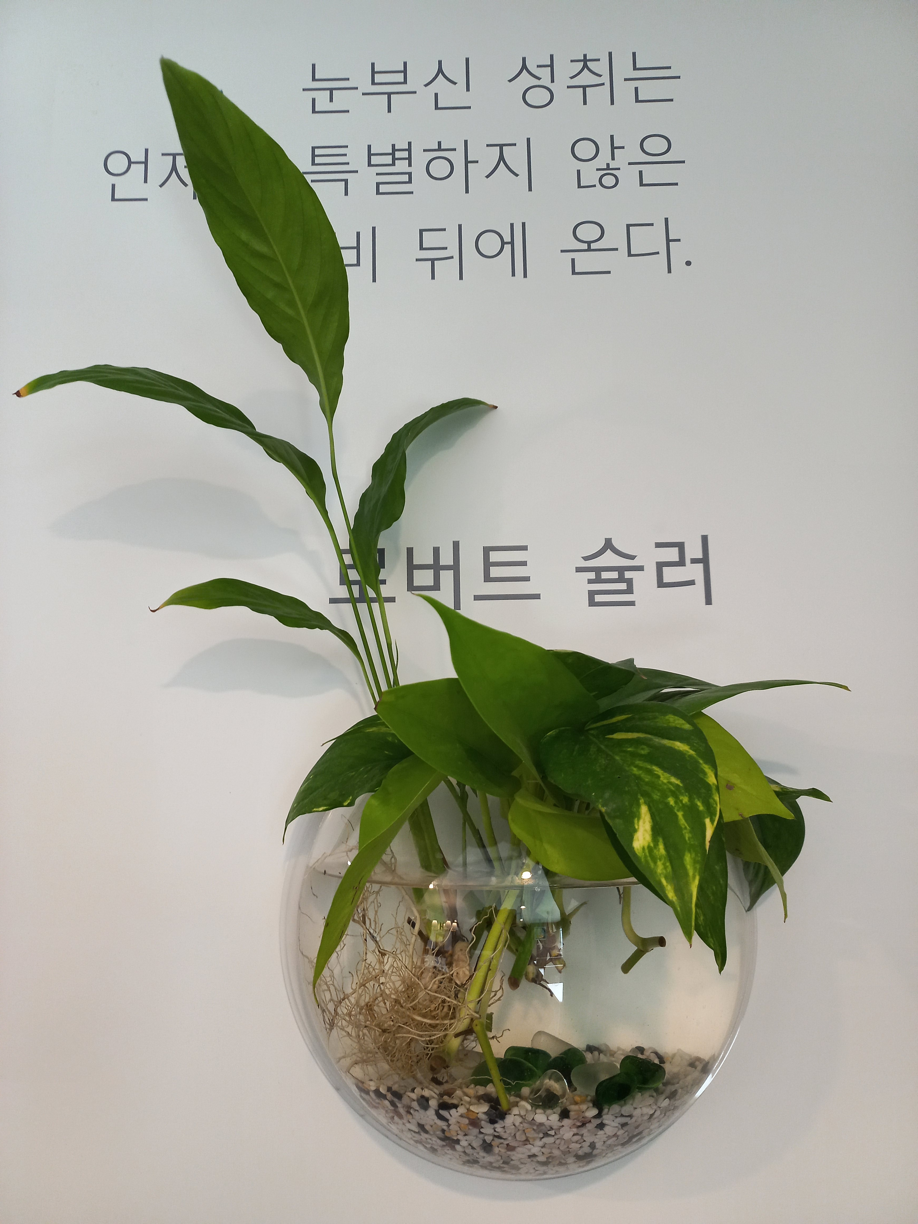 업체사진