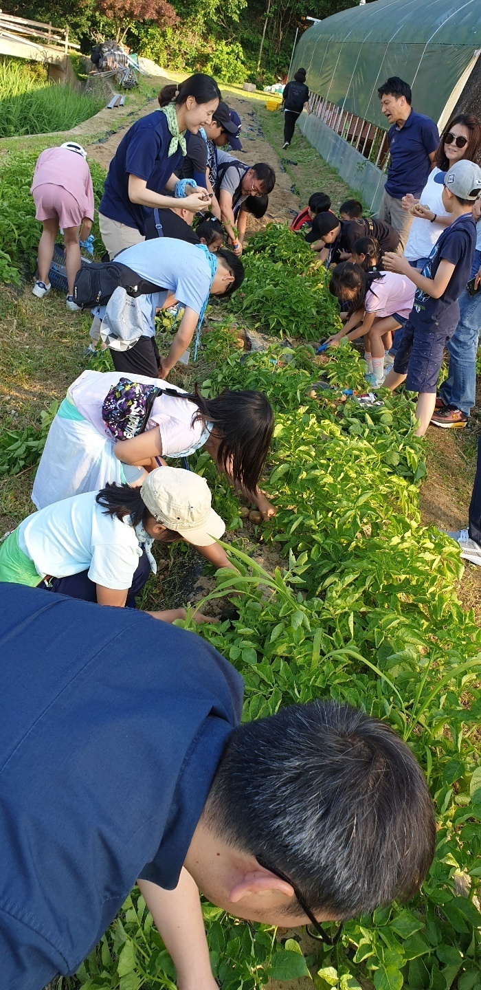 쌍류포도정원협동조합