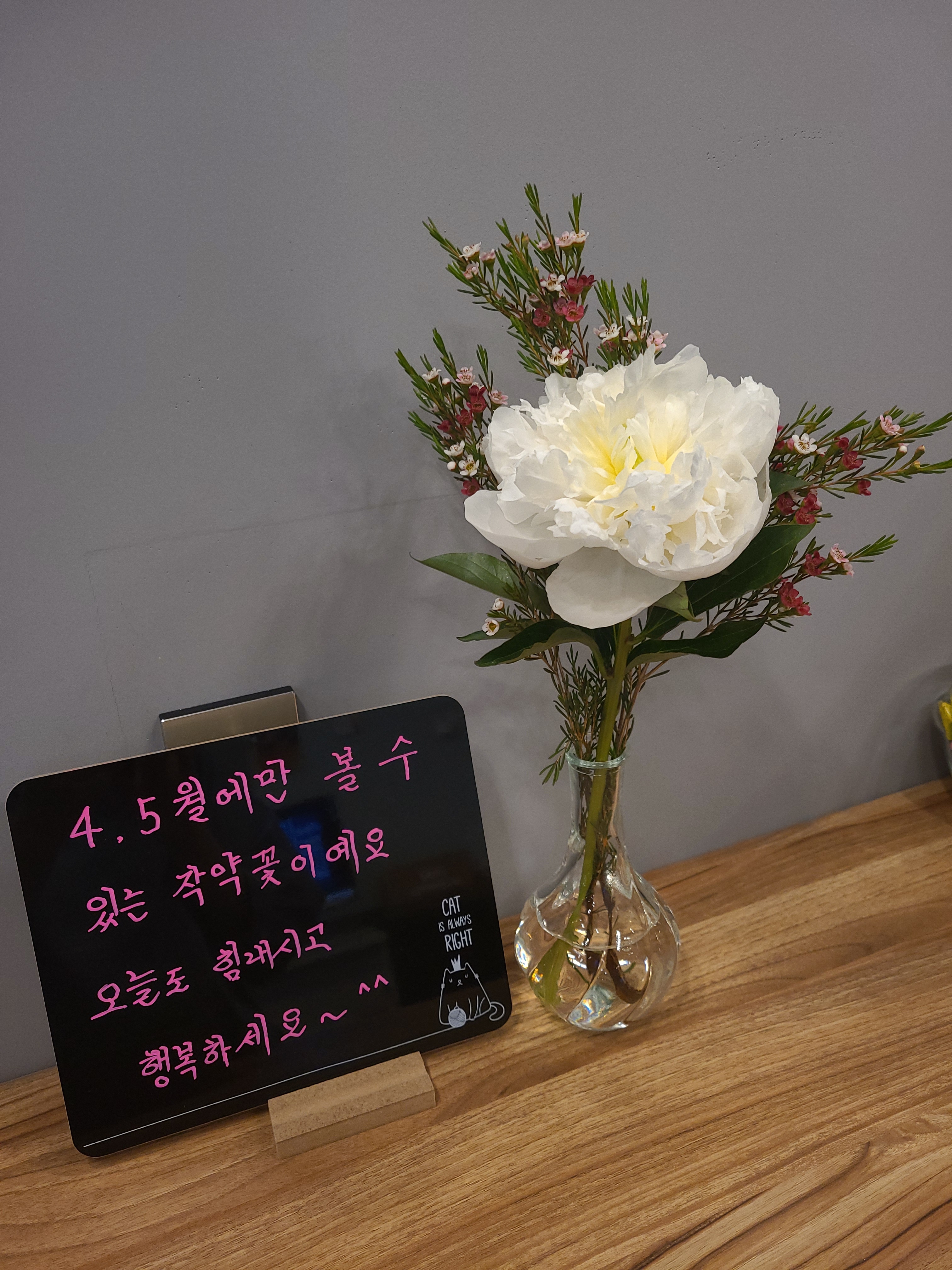 업체사진