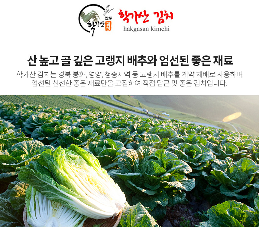 영농조합법인 안동학가산김치