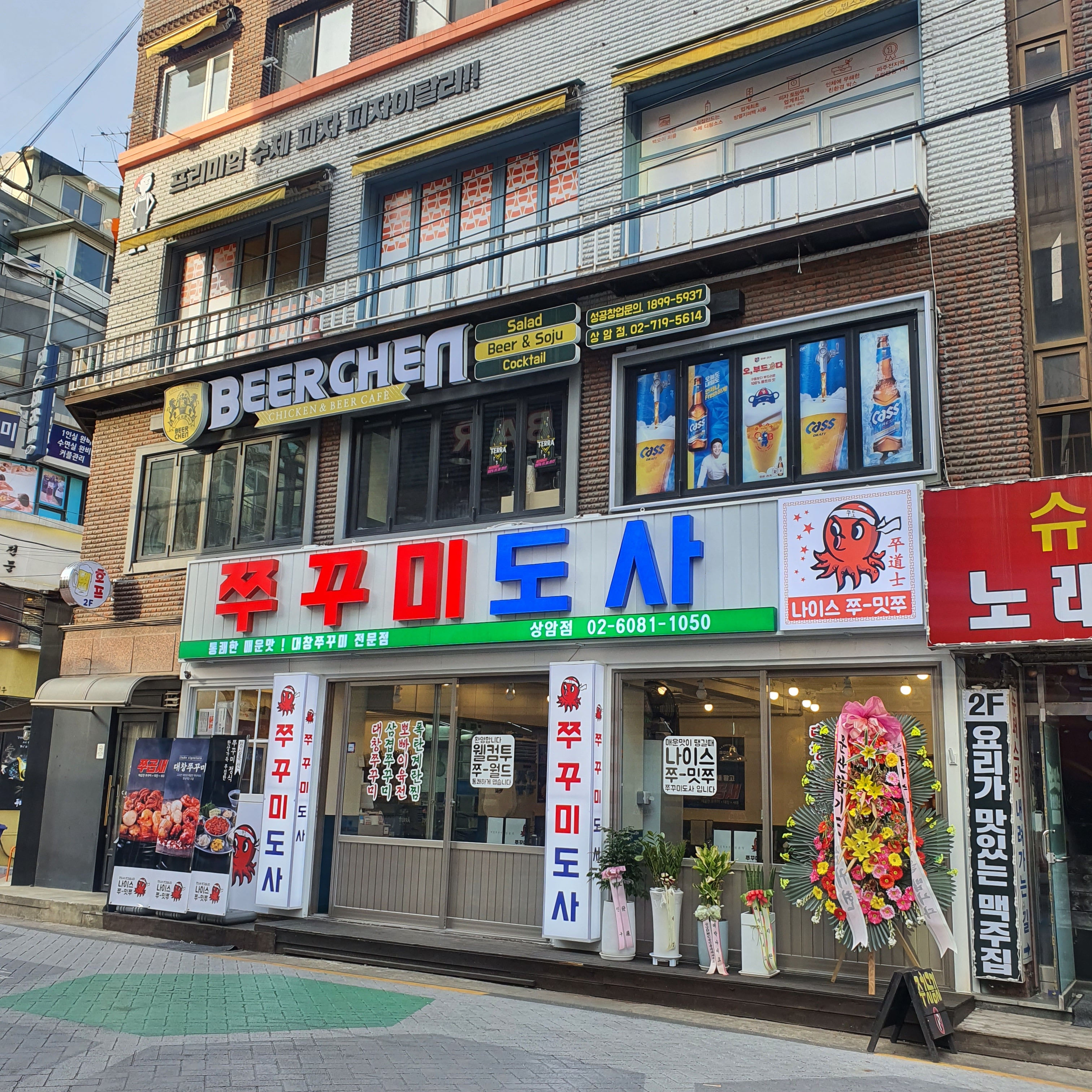 쭈꾸미도사