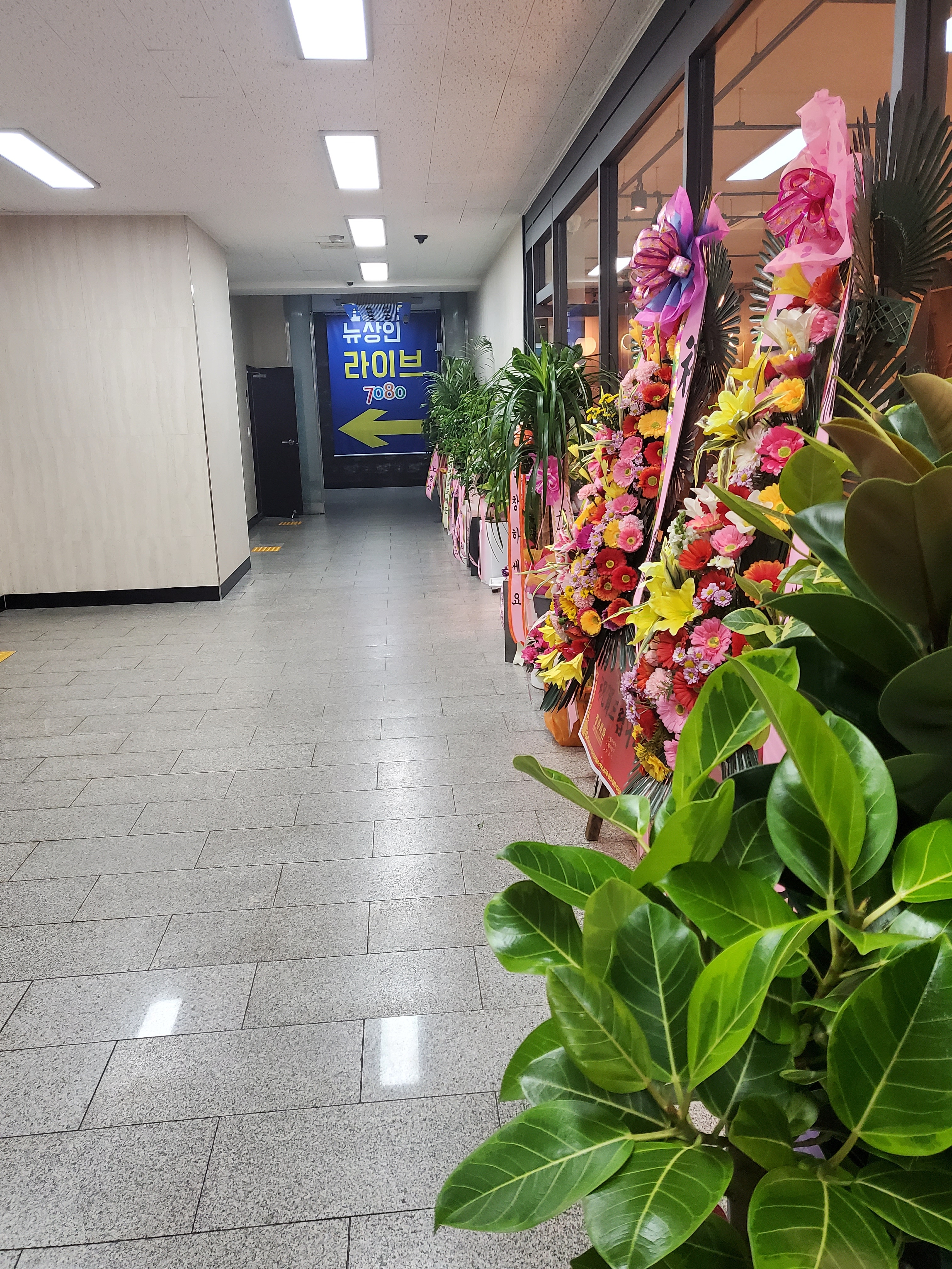 뉴상인라이브