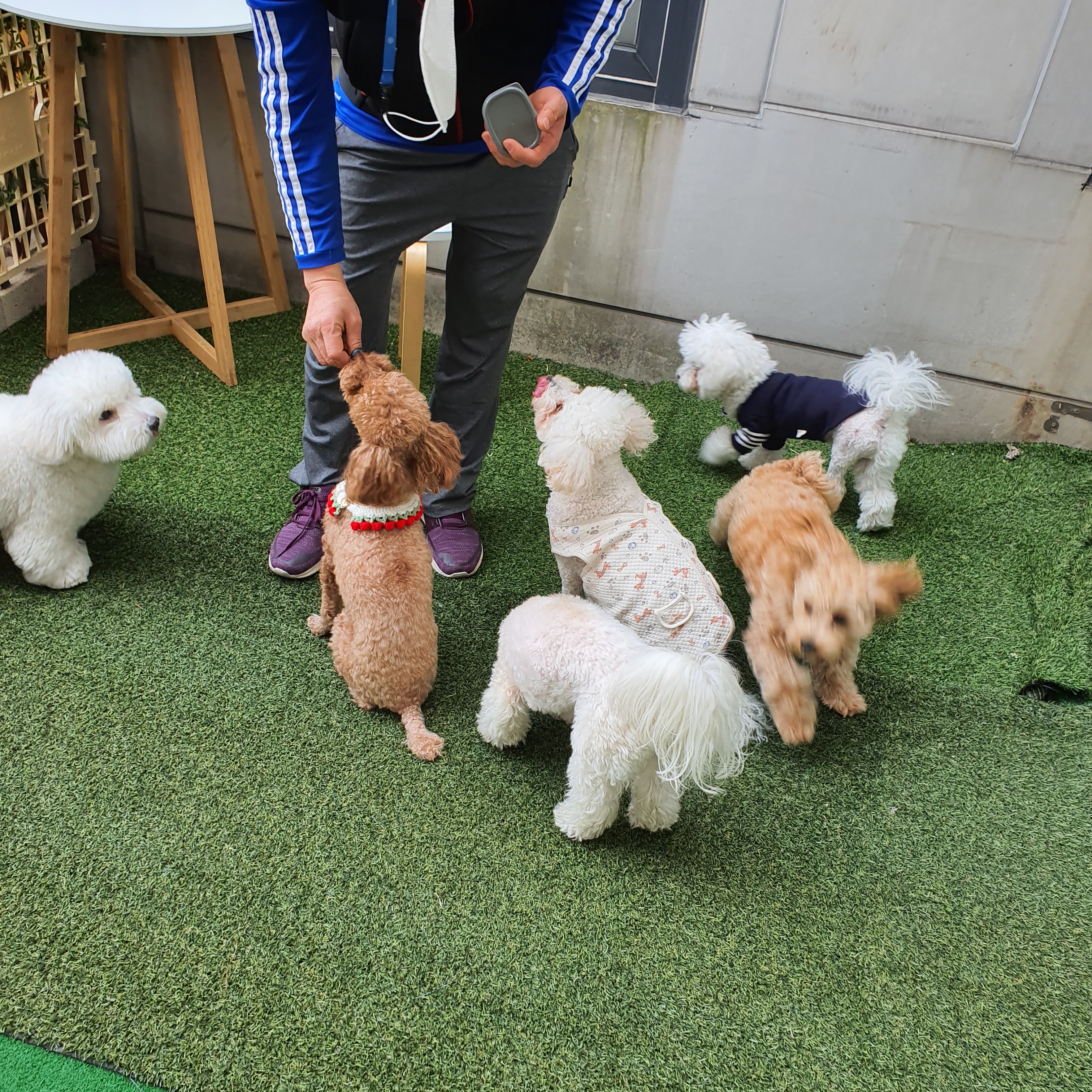 주변 가볼만한 곳