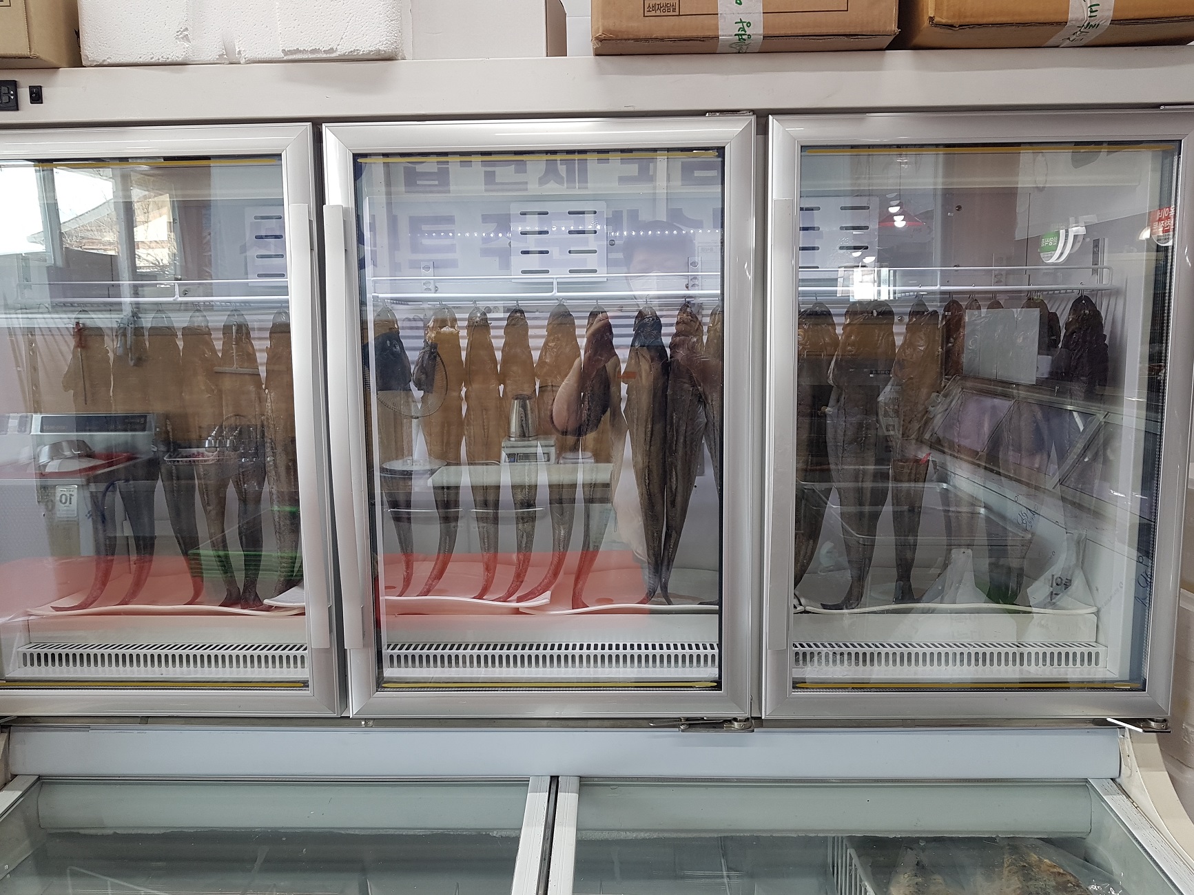 유진수산 대표 이미지