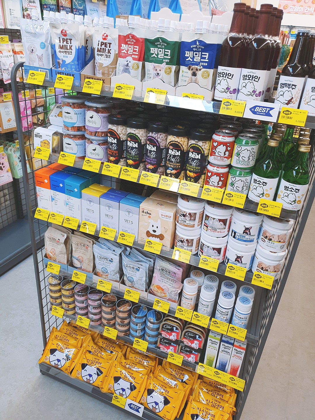 이미지
