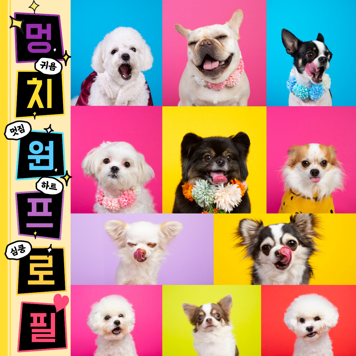 멍리버 경상 애견카페