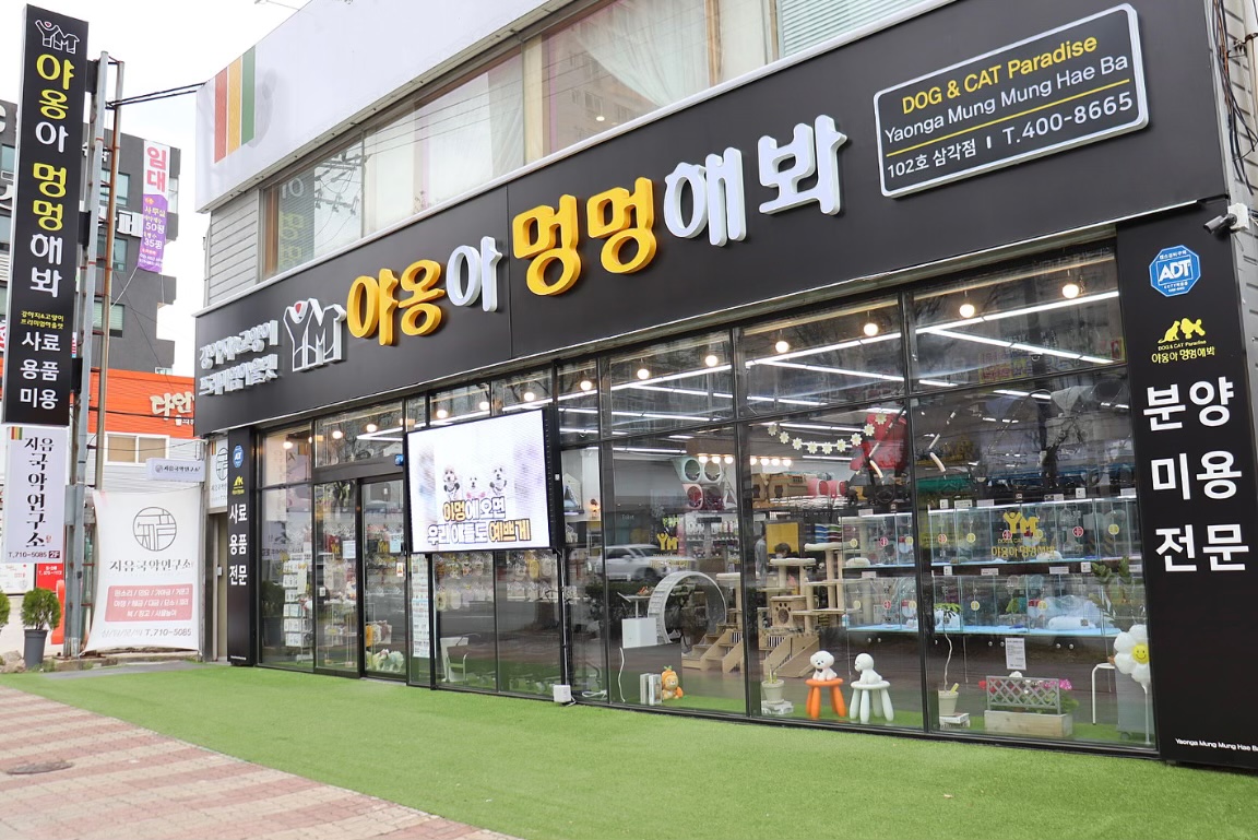 야옹아멍멍해봐 강아지고양이 삼각점