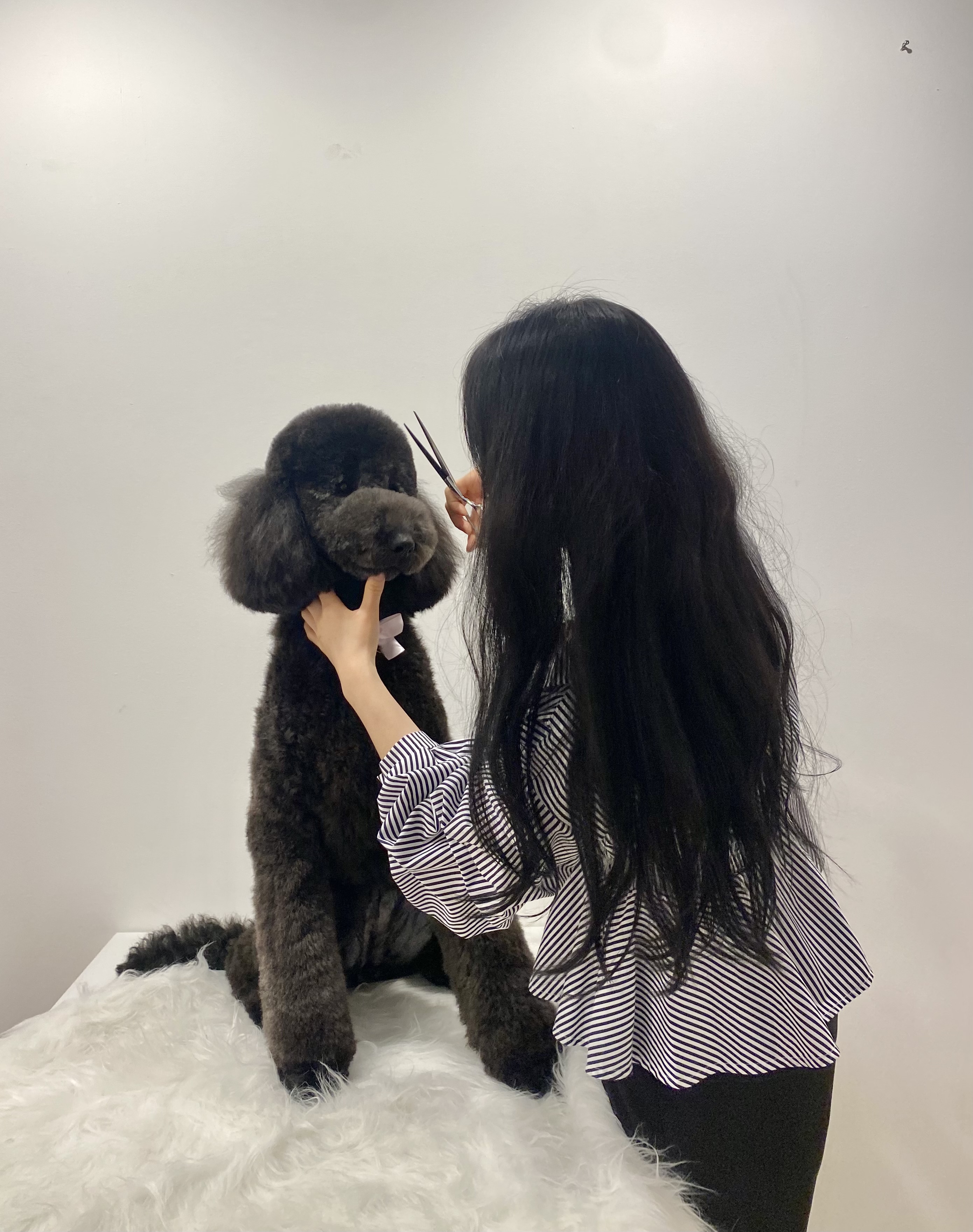 마이티그루밍 약수점 대표 이미지