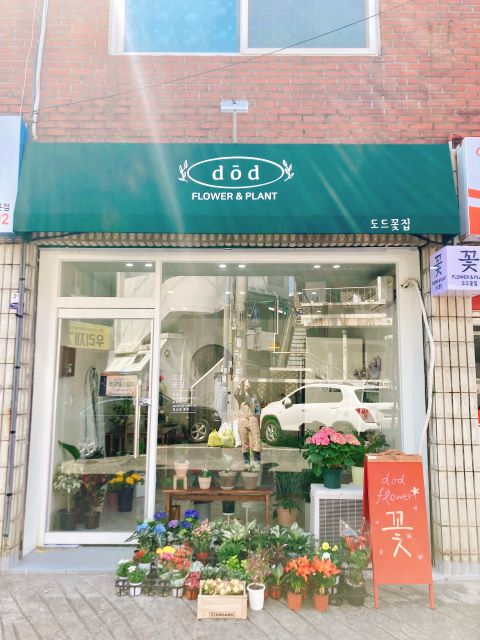 도드꽃집