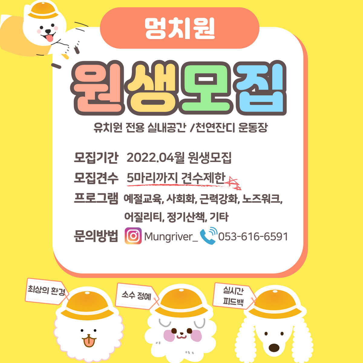 개다방 대관 2