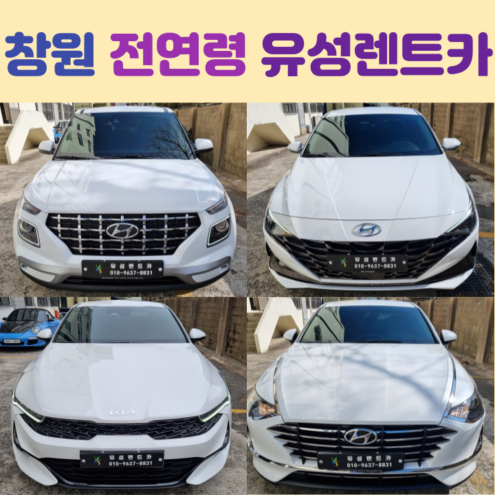 유성렌트카 대표 이미지