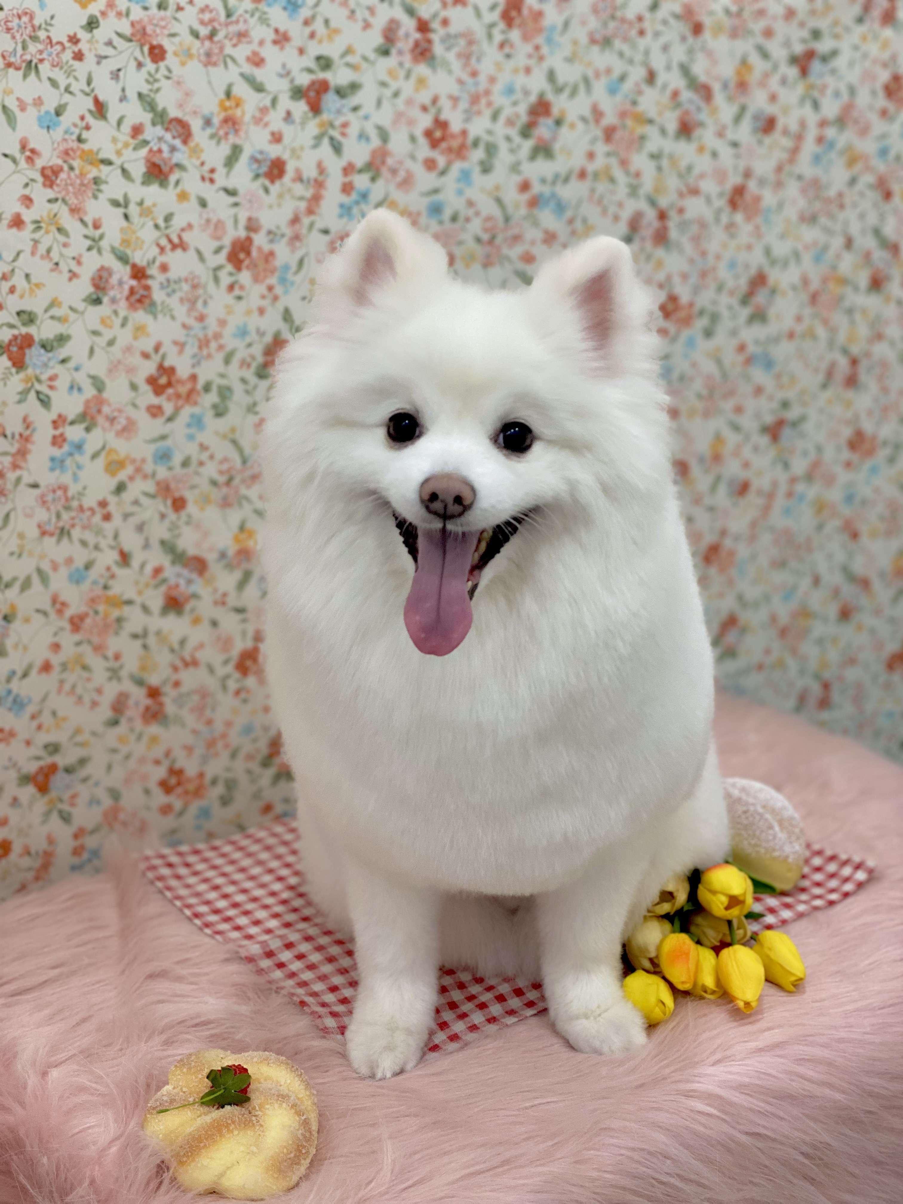 마이티그루밍 약수점 대표 이미지