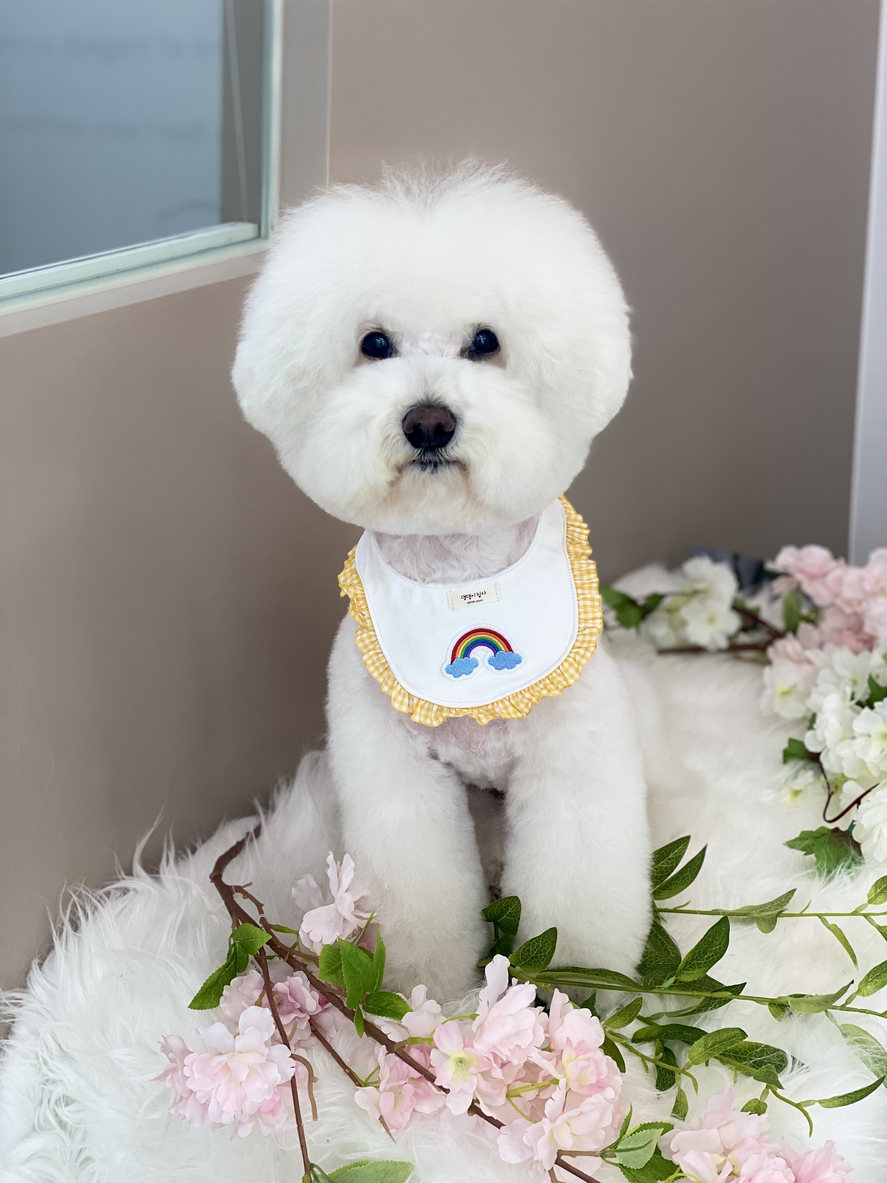 마이티그루밍 약수점 대표 이미지