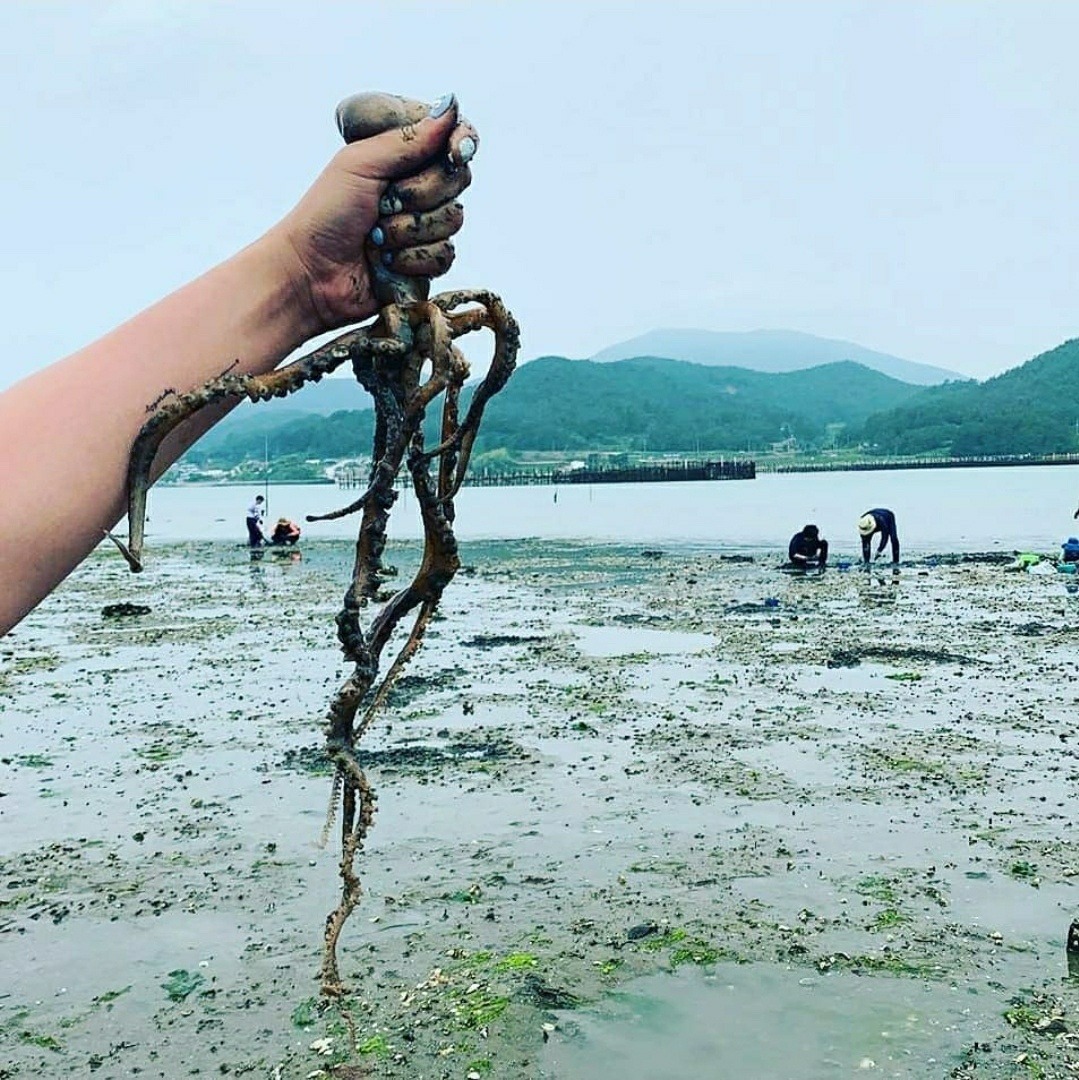 패밀리하우스