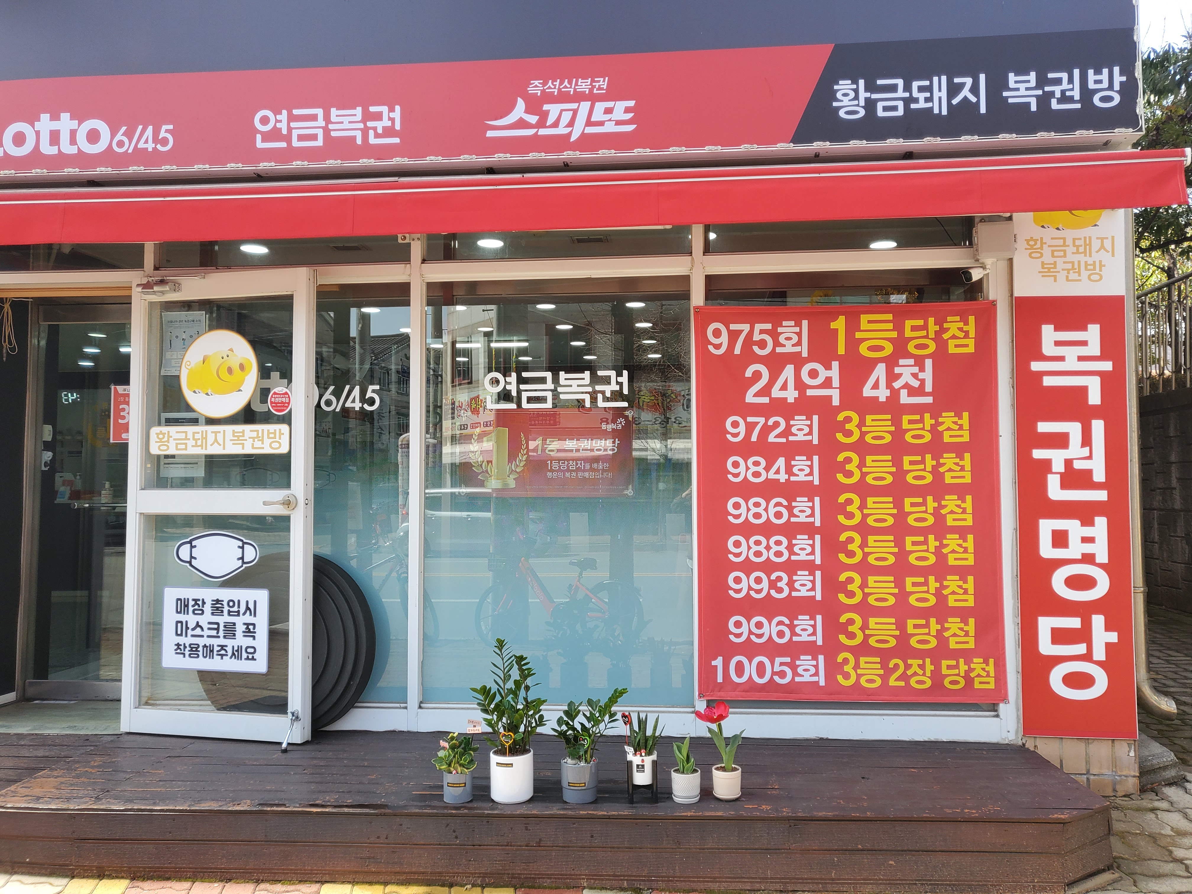 황금돼지복권방