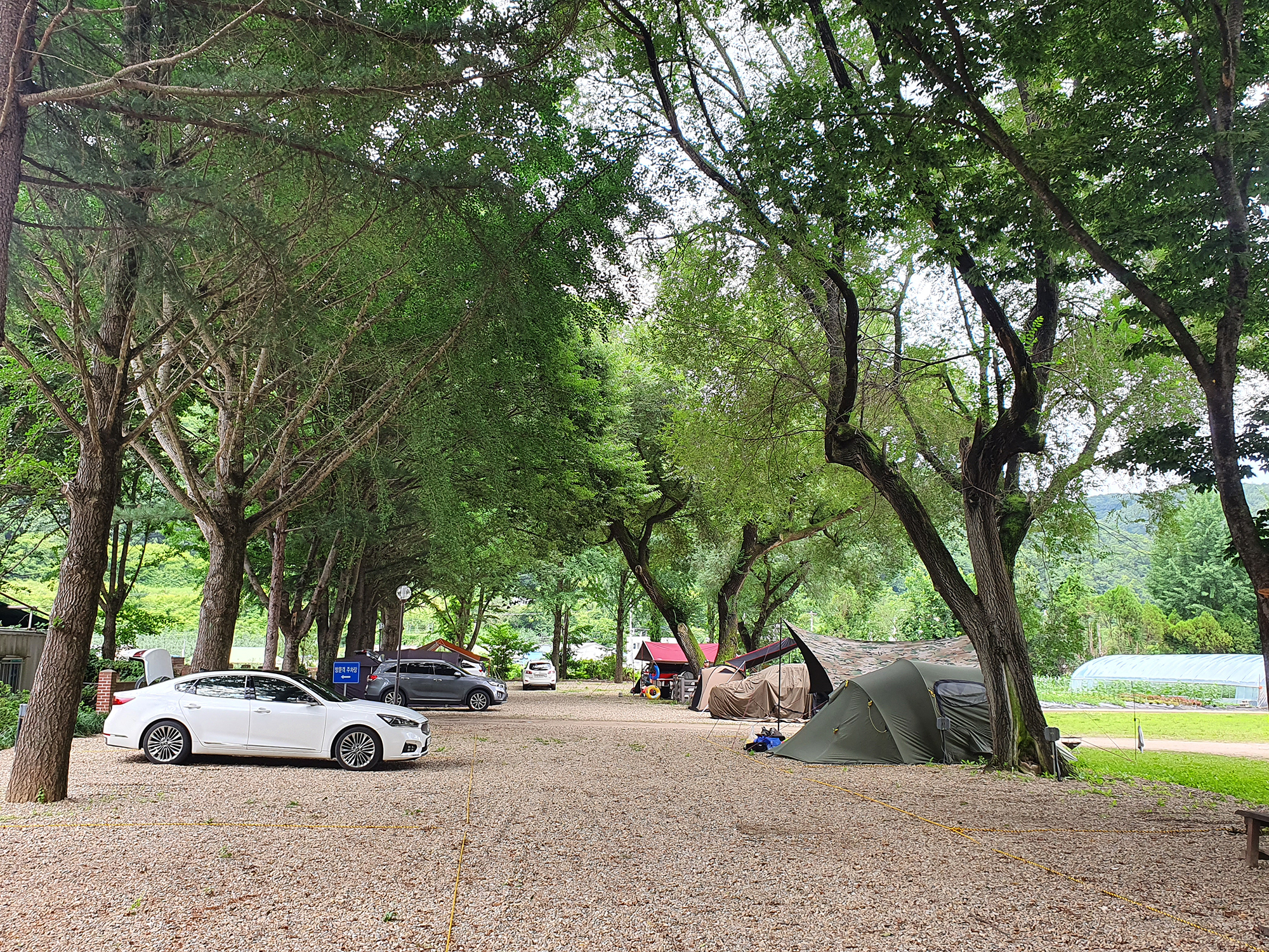 캠핑장 사진