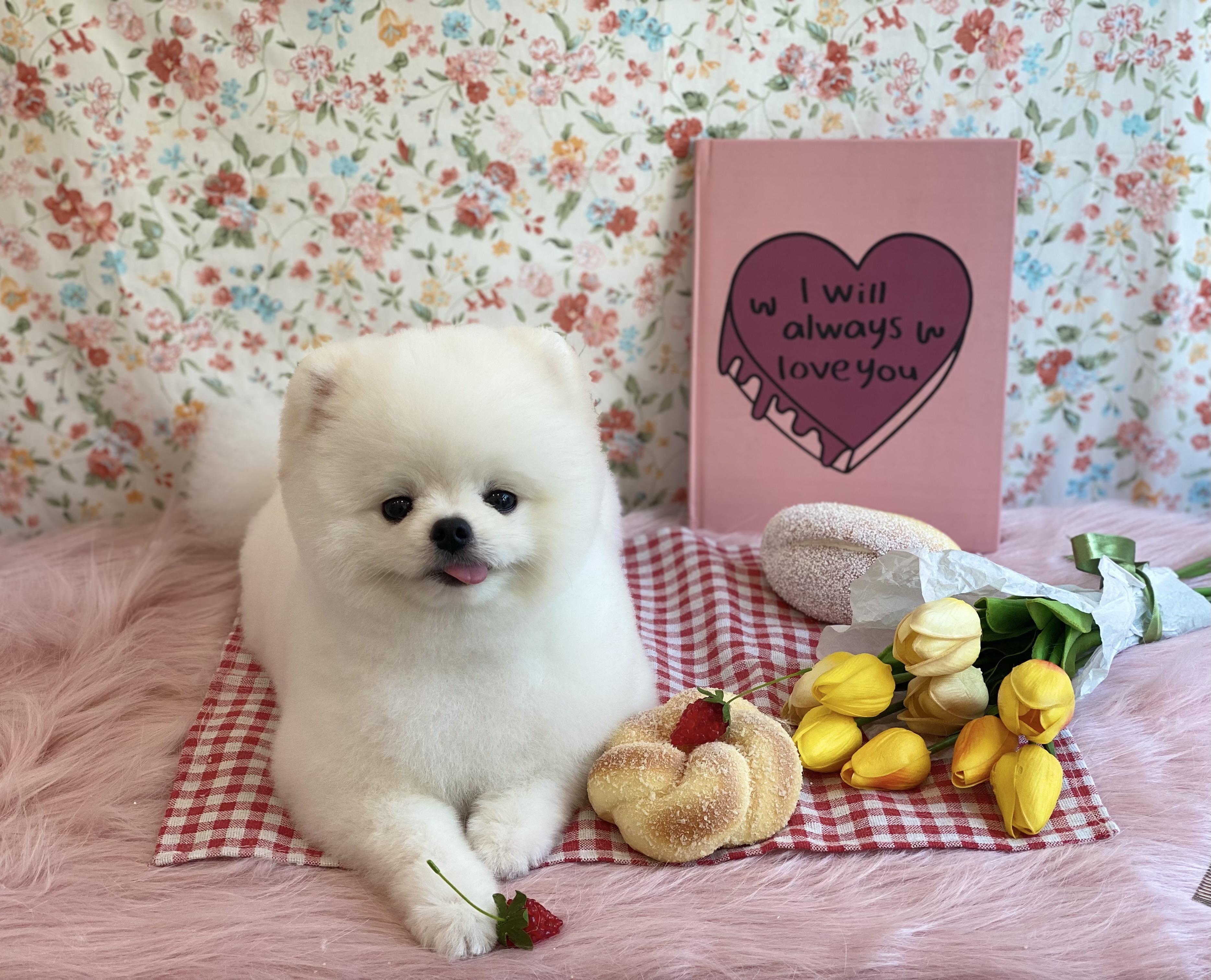 마이티그루밍 약수점 대표 이미지