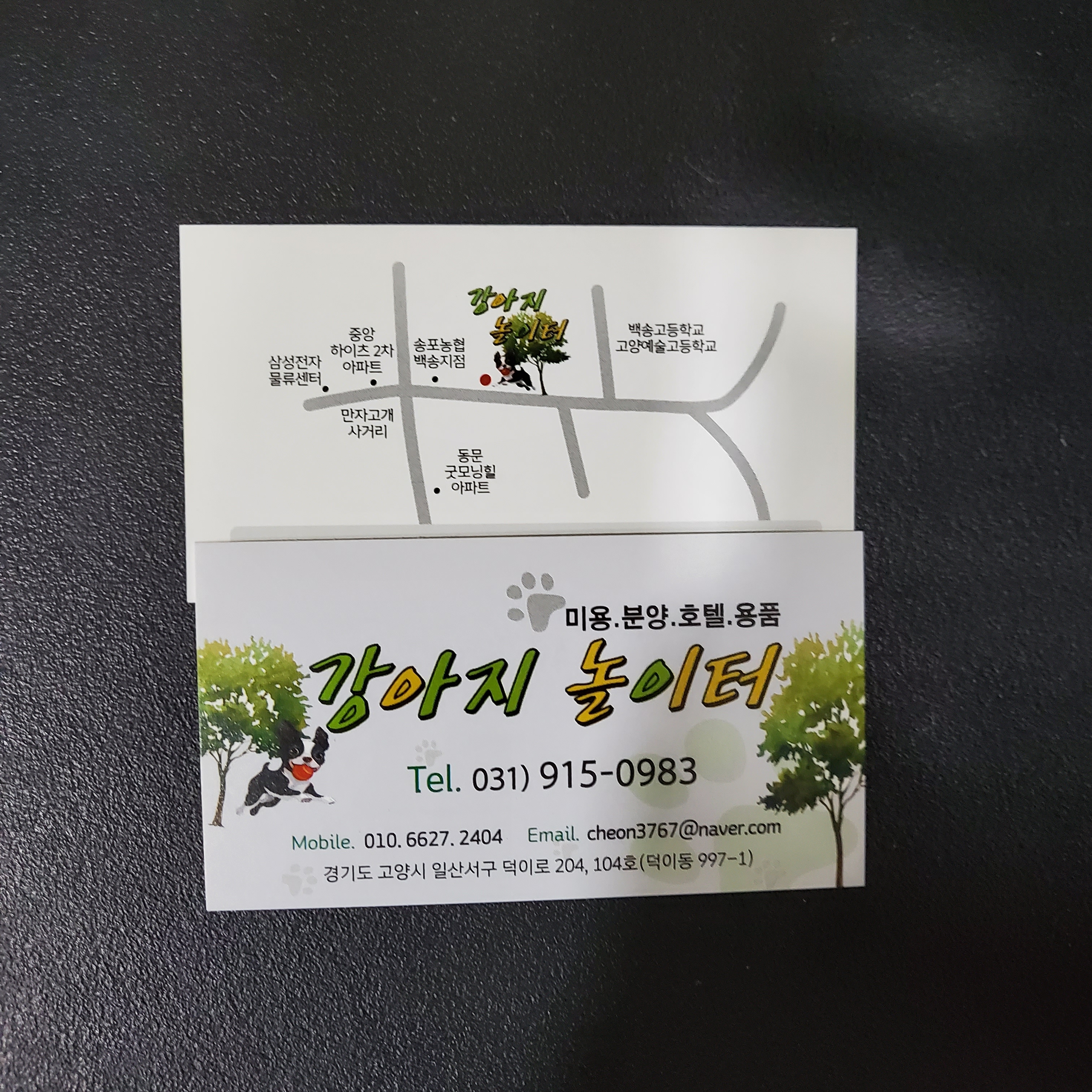 강아지놀이터 대표 이미지