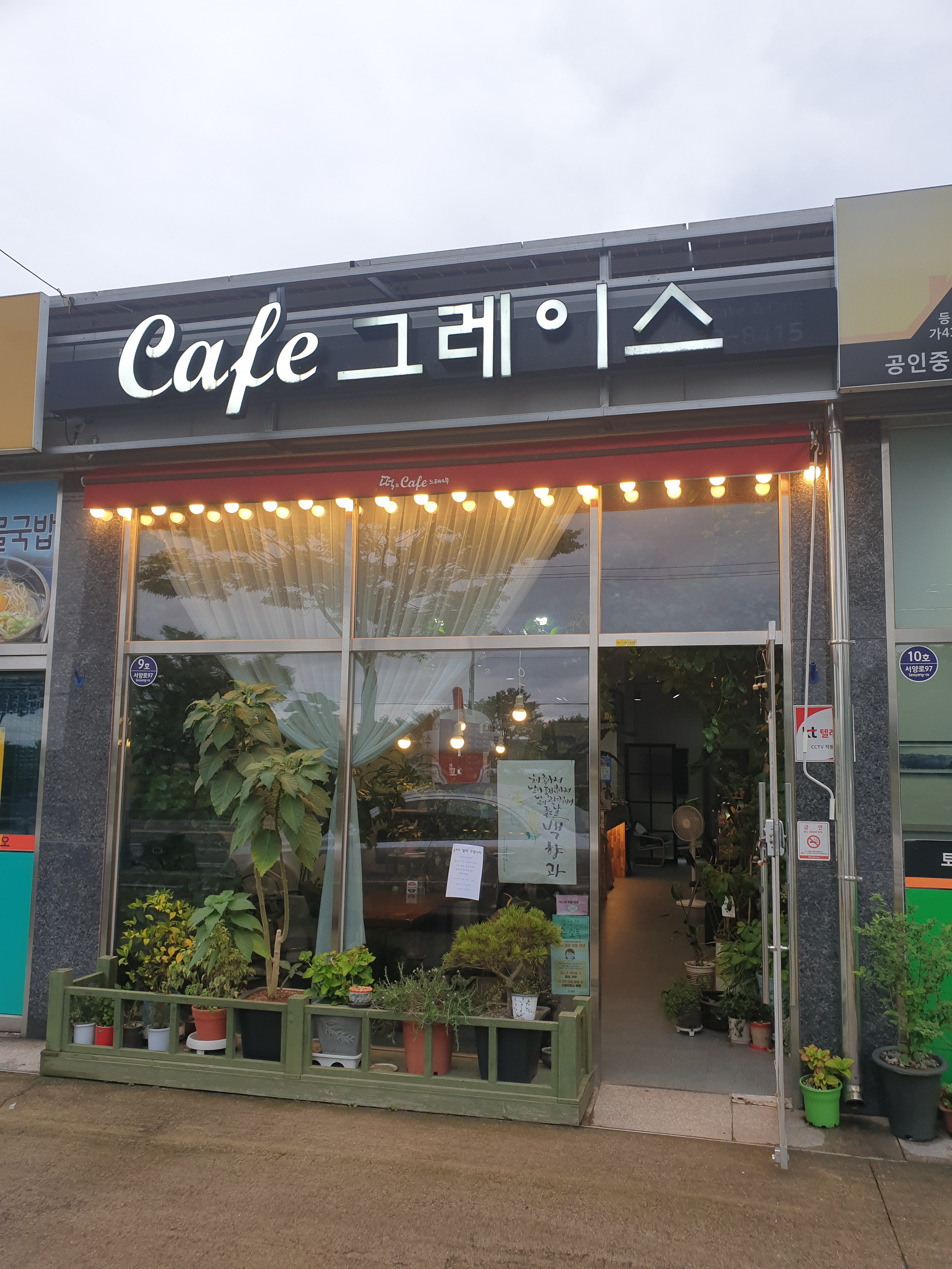 카페그레이스