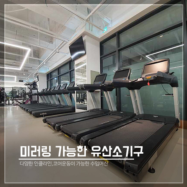 제라드앤맥스짐