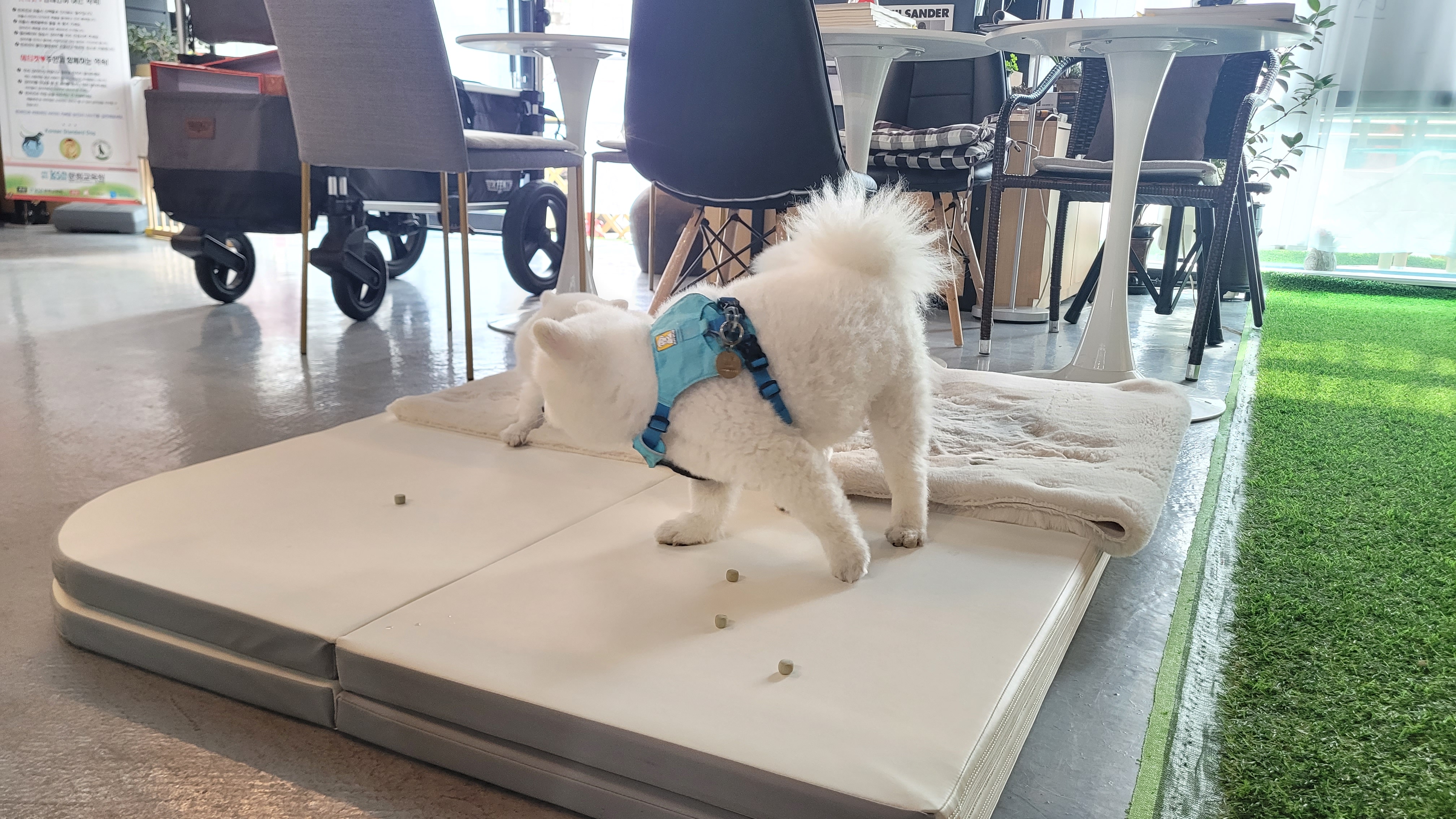 사단법인케이에스디문화원 대표 이미지