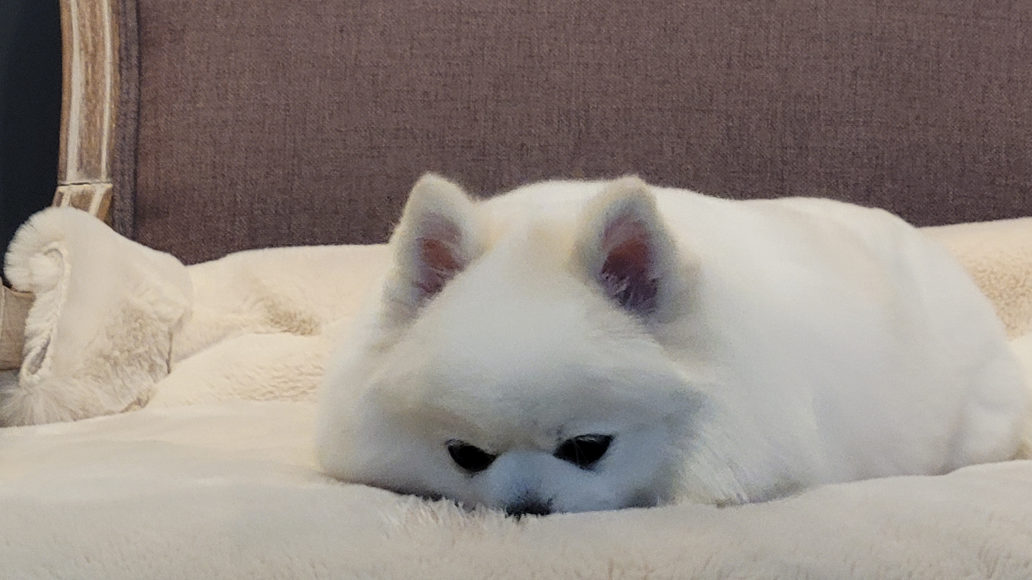사단법인케이에스디문화원