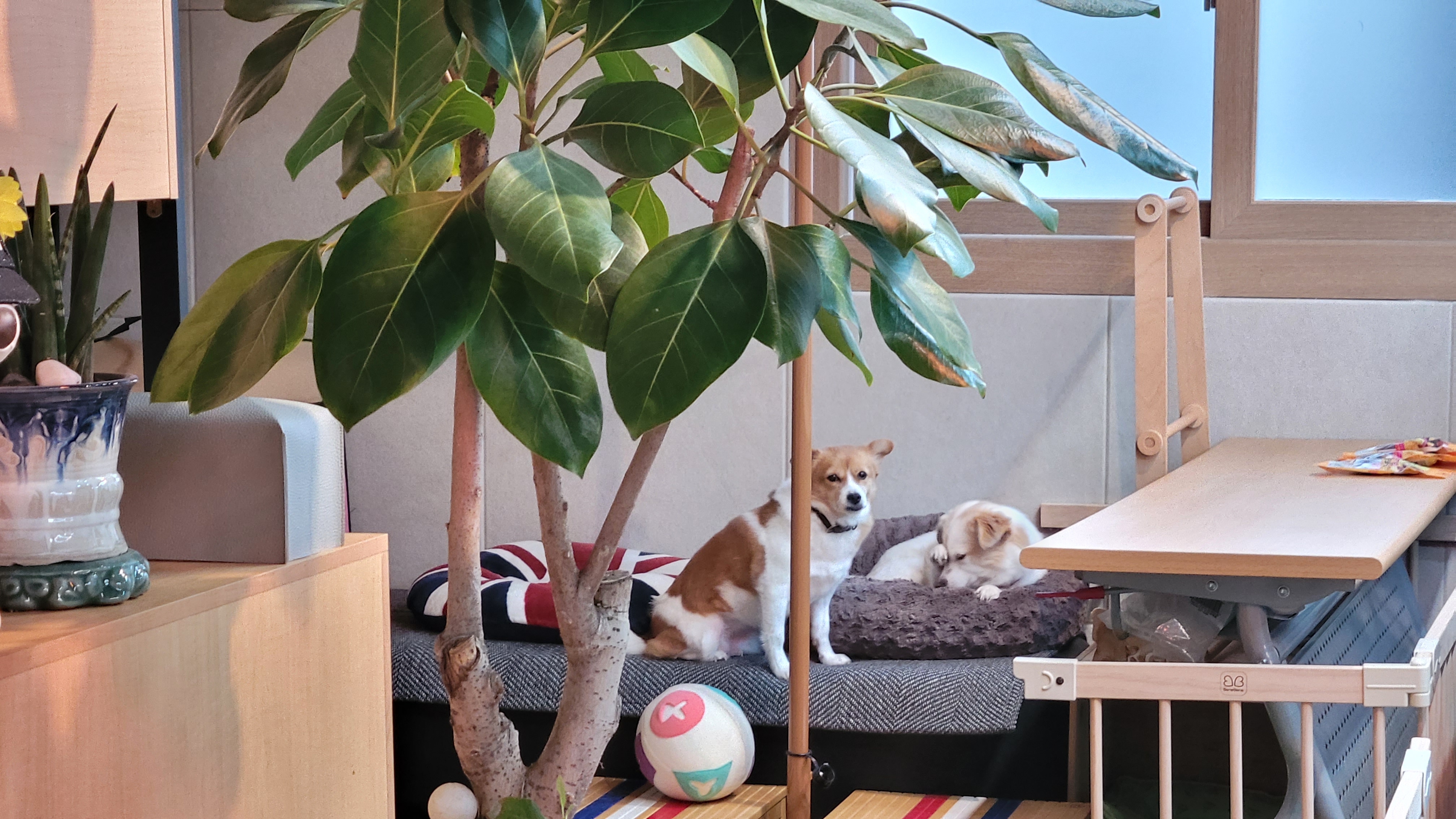 케이에스디문화원 대표 이미지