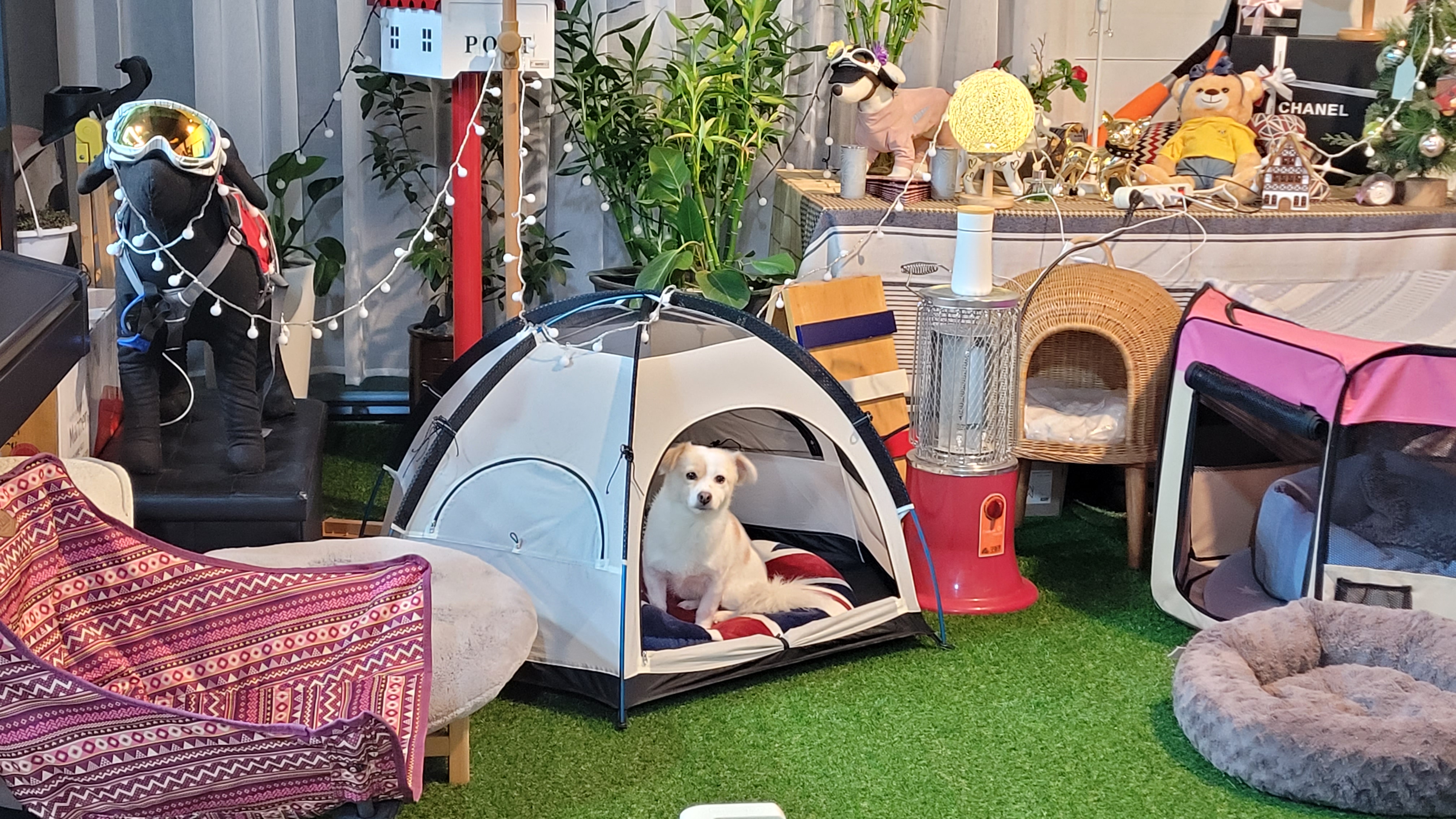 사단법인케이에스디문화원