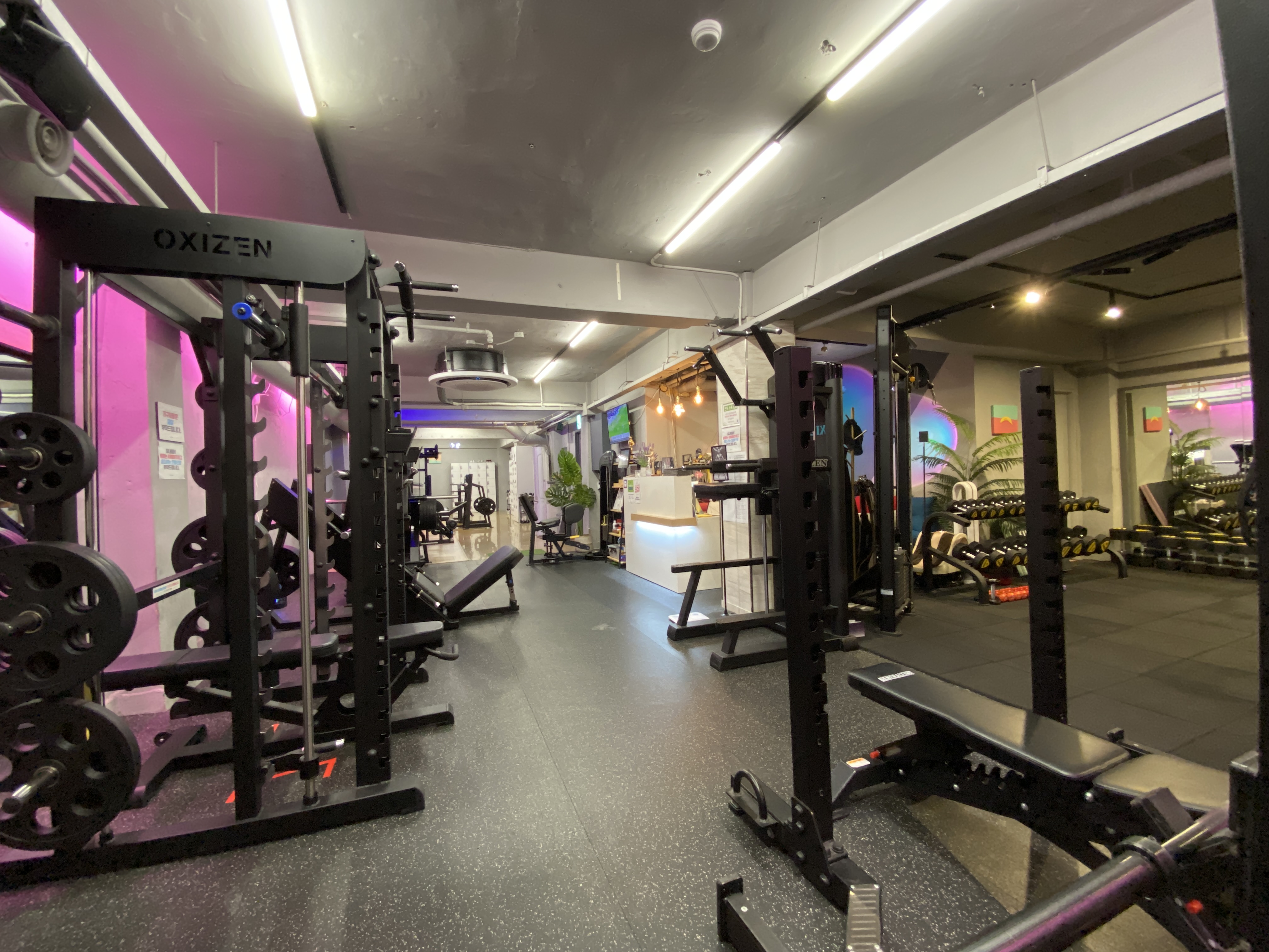 머슬엑스짐 대표 이미지