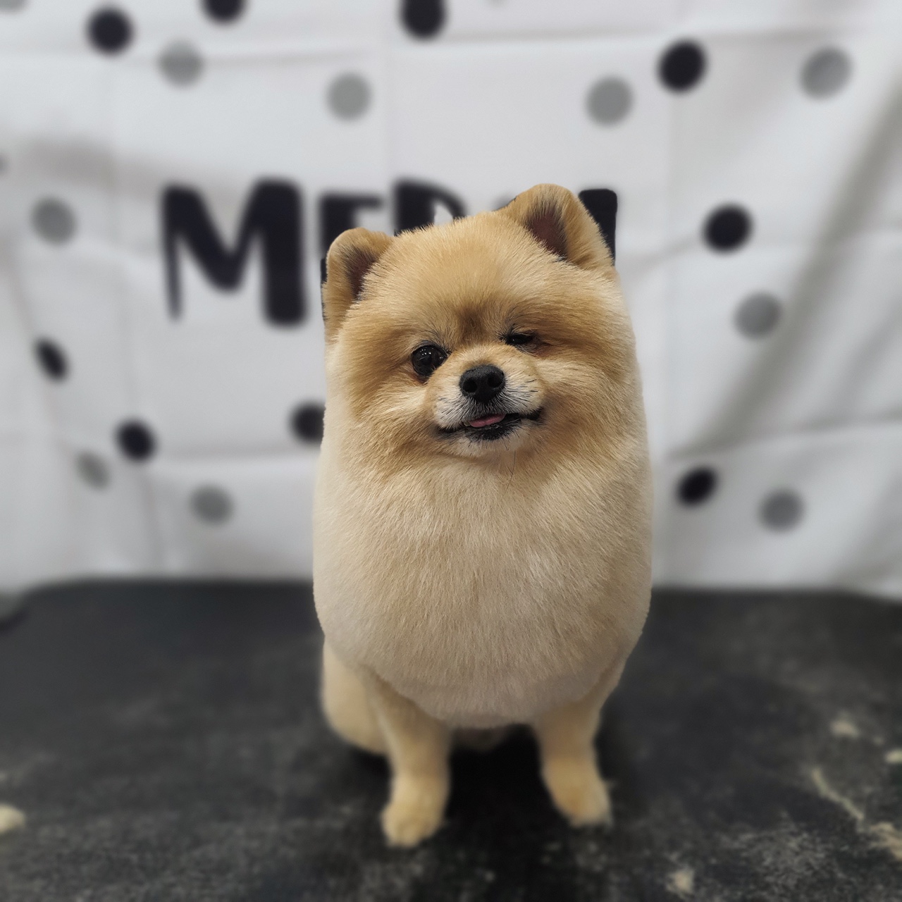 몽그리몽 대표 이미지