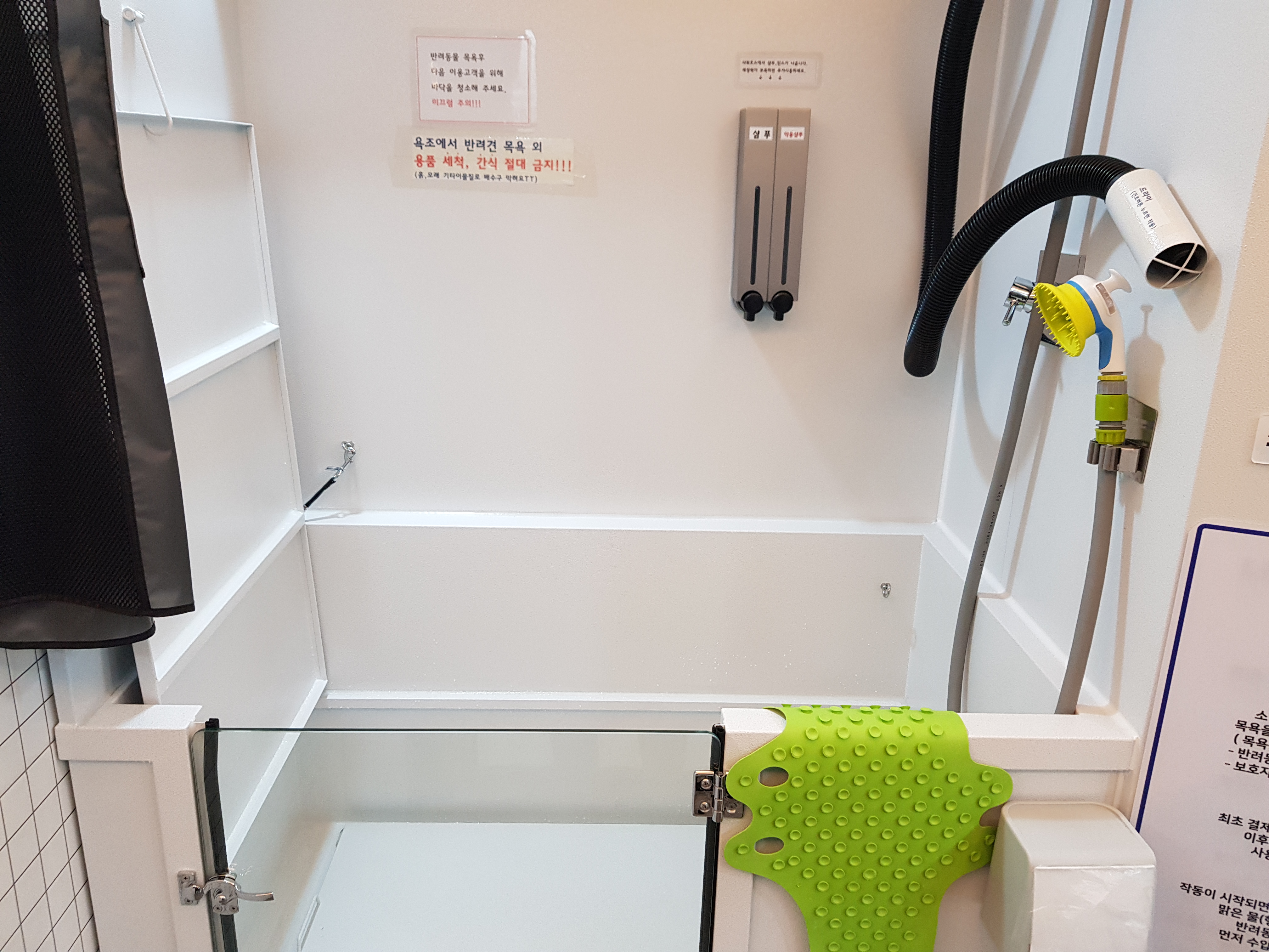 댕댕워시 대표 이미지