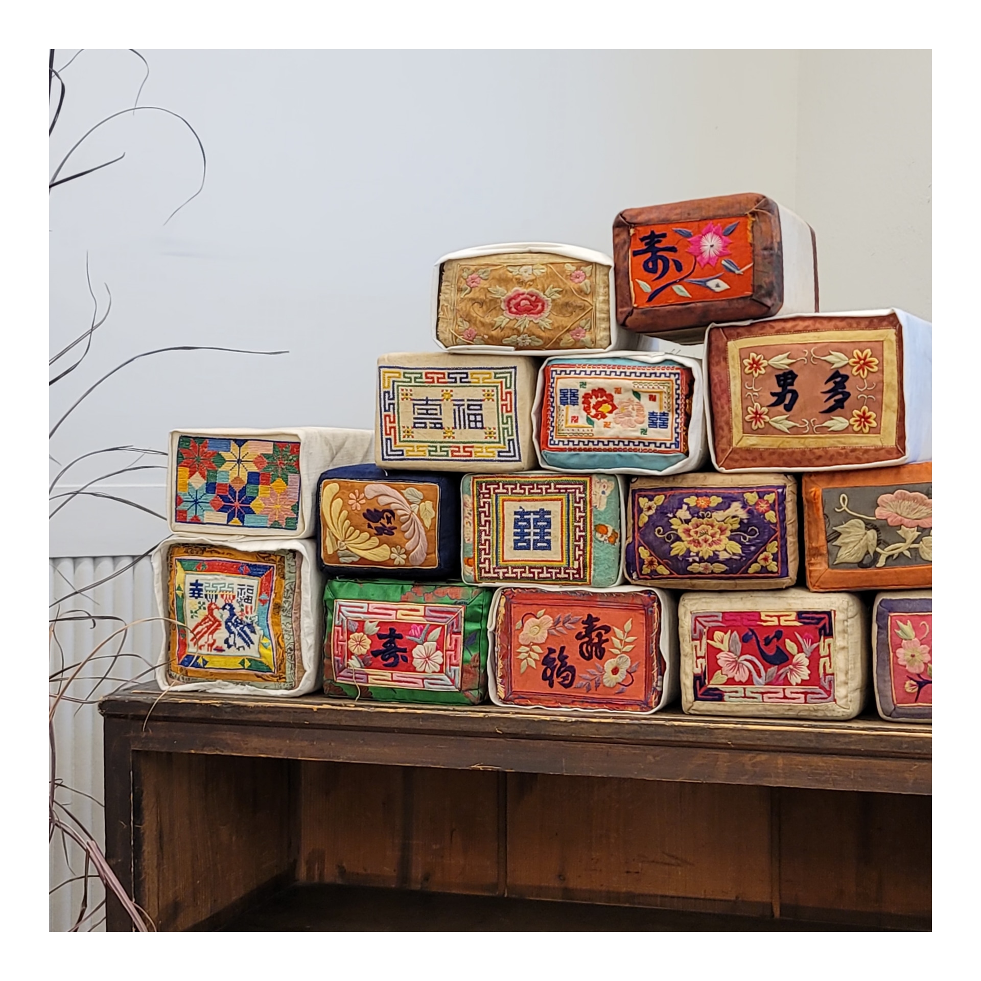 작은우리옷비단꽃