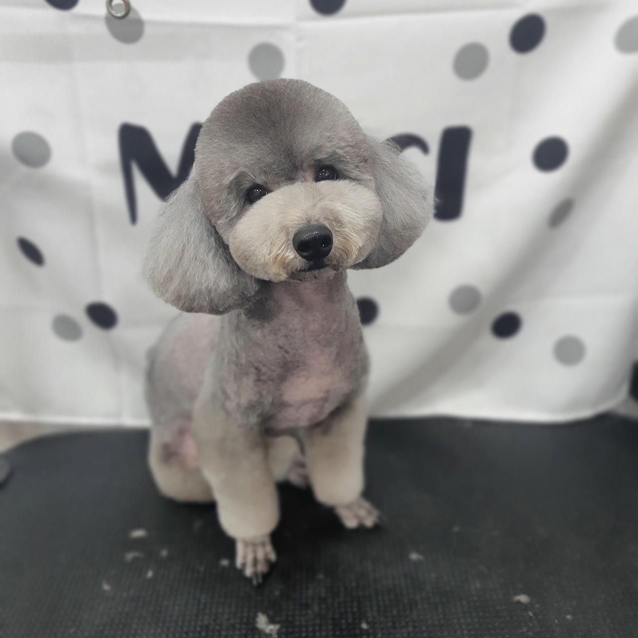 몽그리몽 대표 이미지