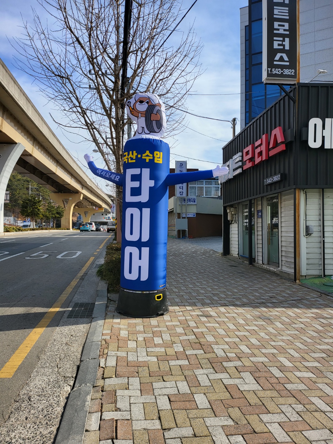 타이어베어 대표 이미지